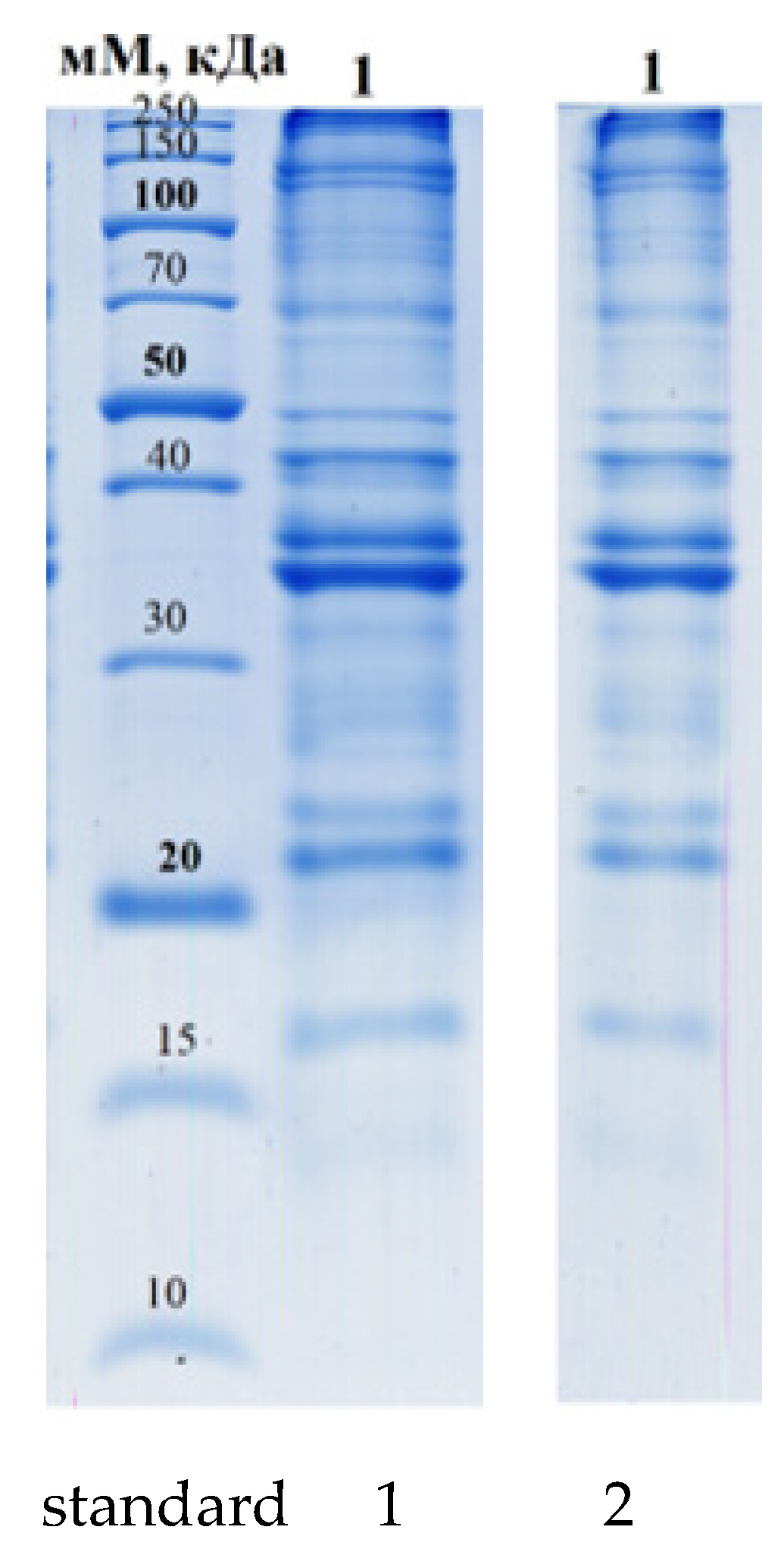 Applsci 13 10462 g003