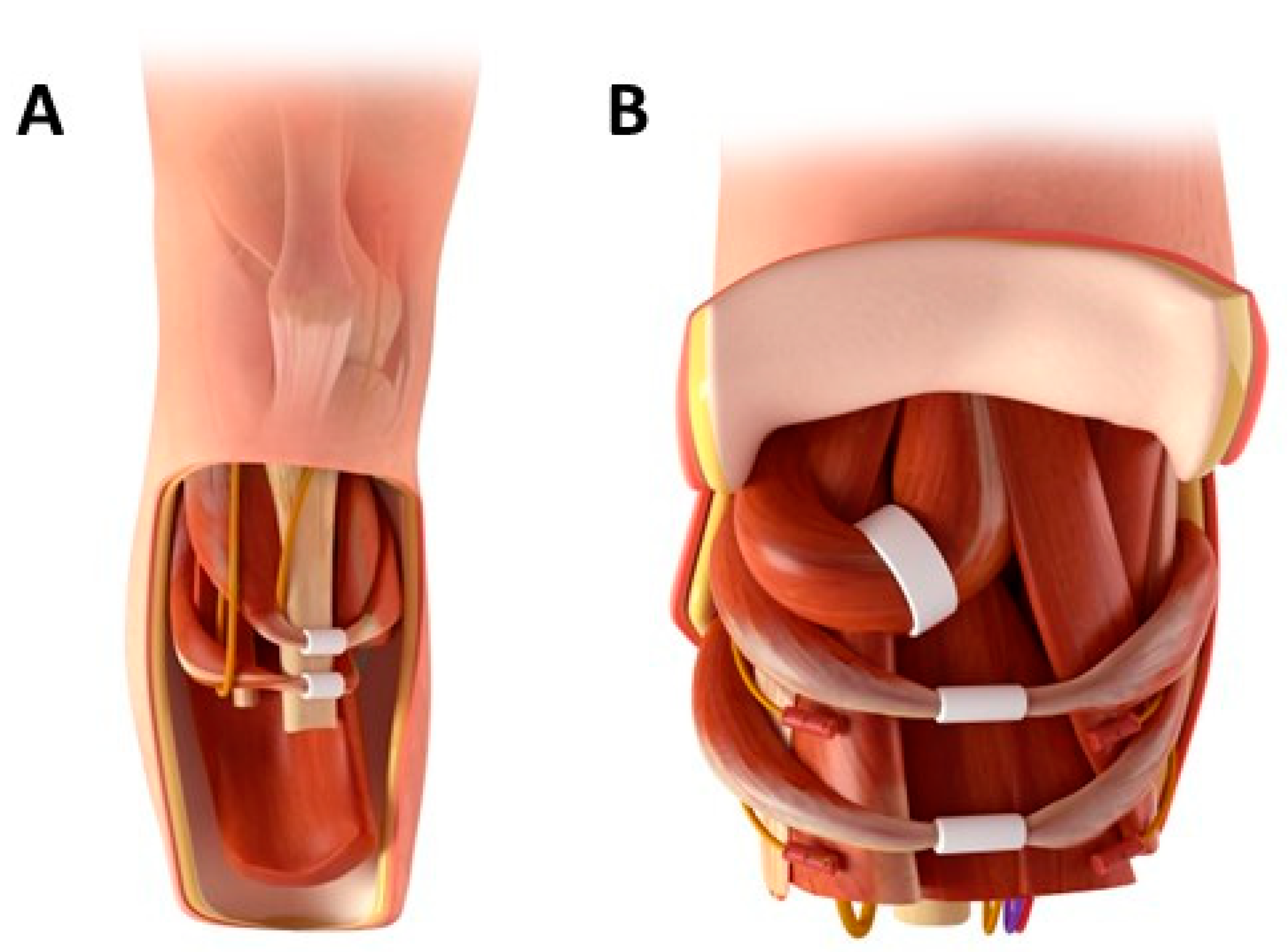 Applsci 13 10508 g001
