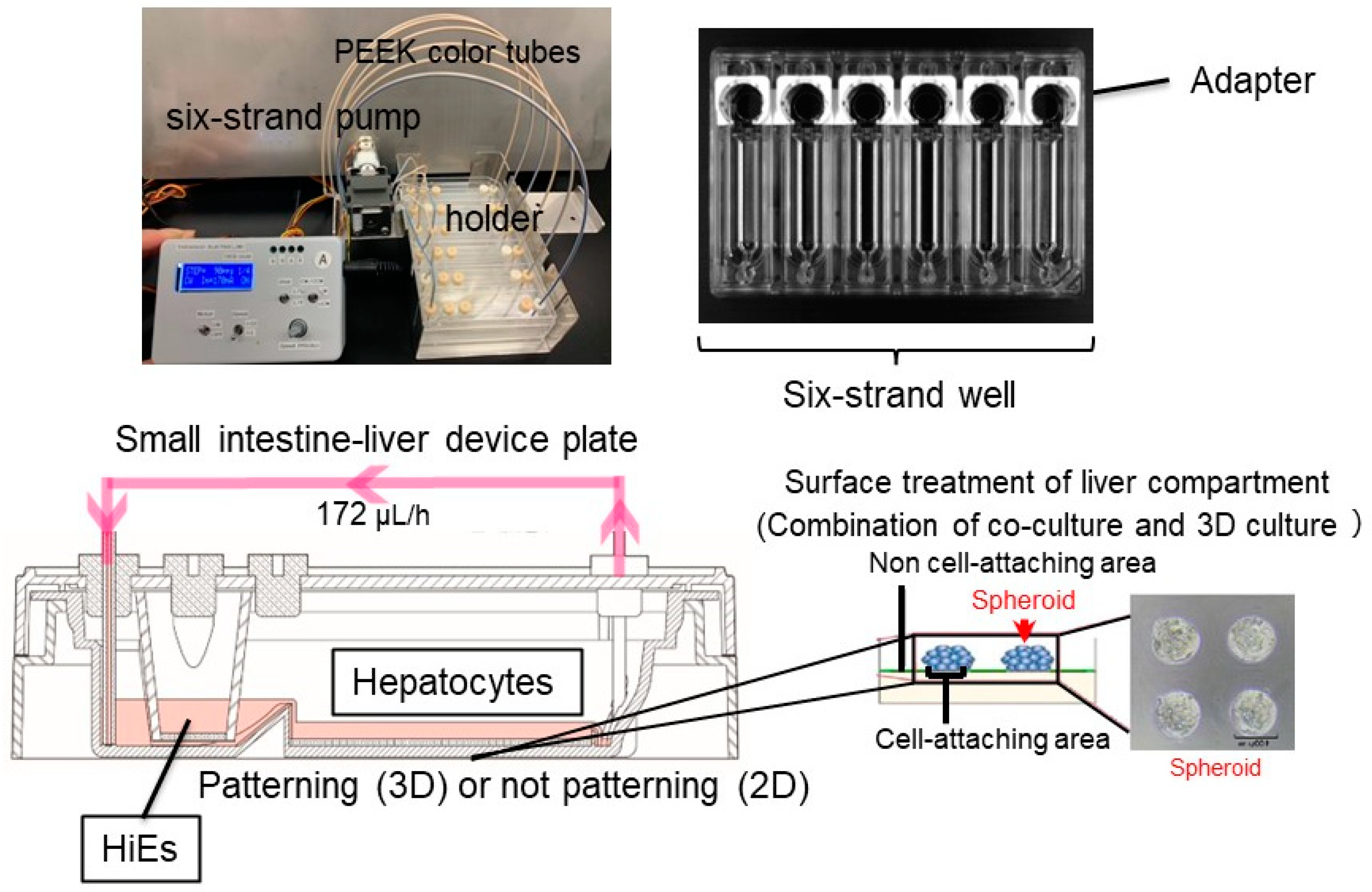 Applsci 13 10510 g001