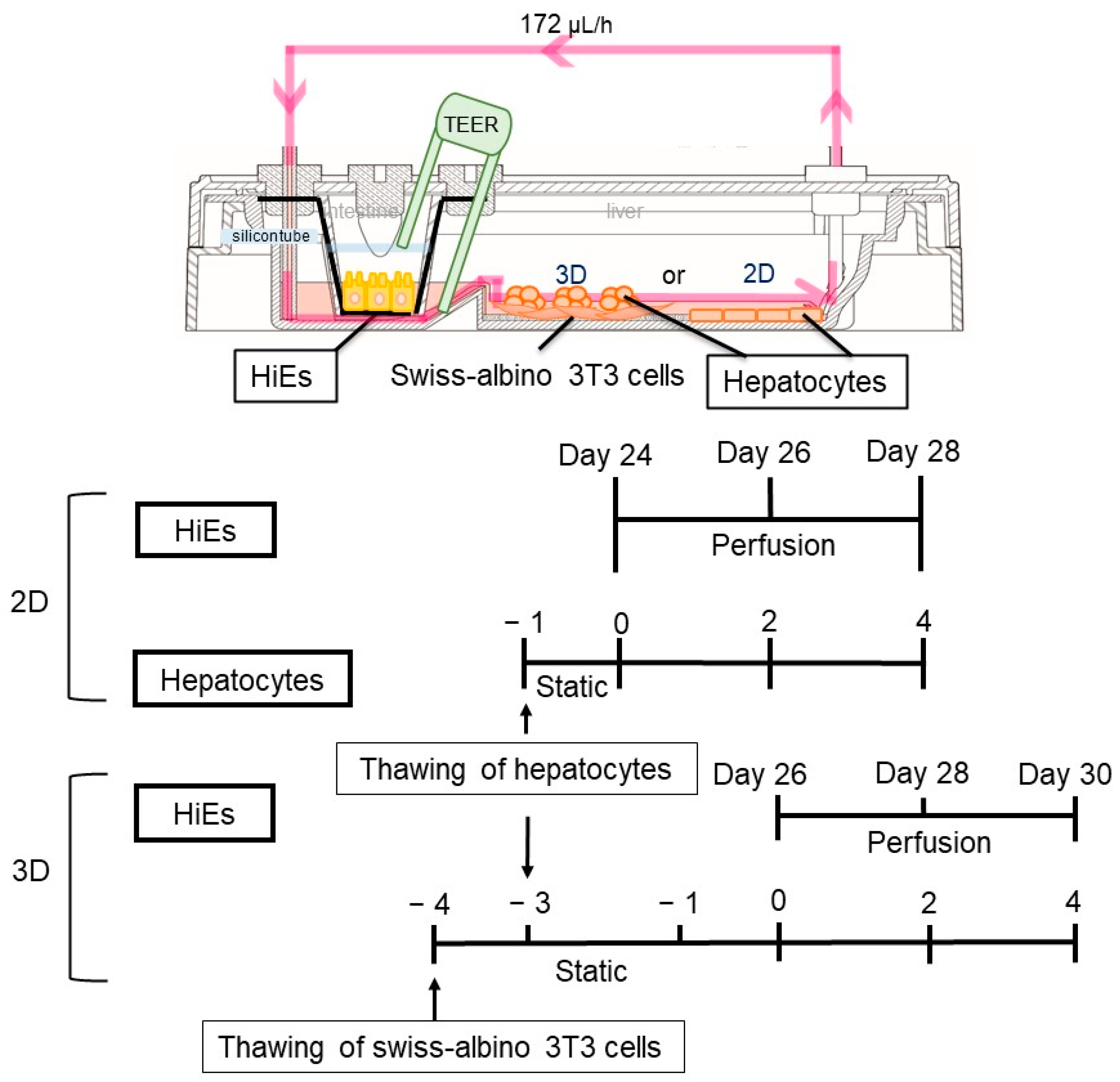 Applsci 13 10510 g002