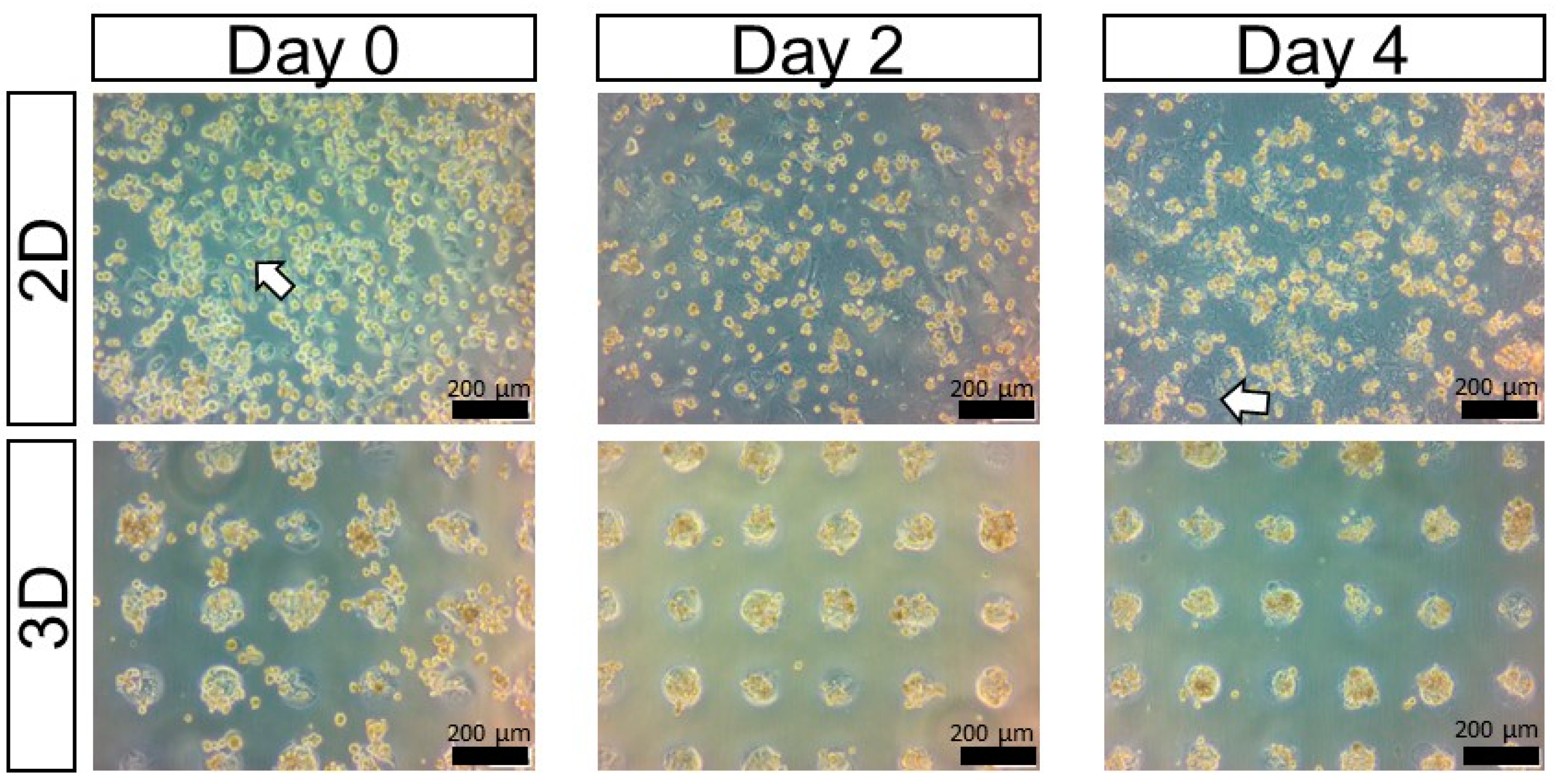 Applsci 13 10510 g003