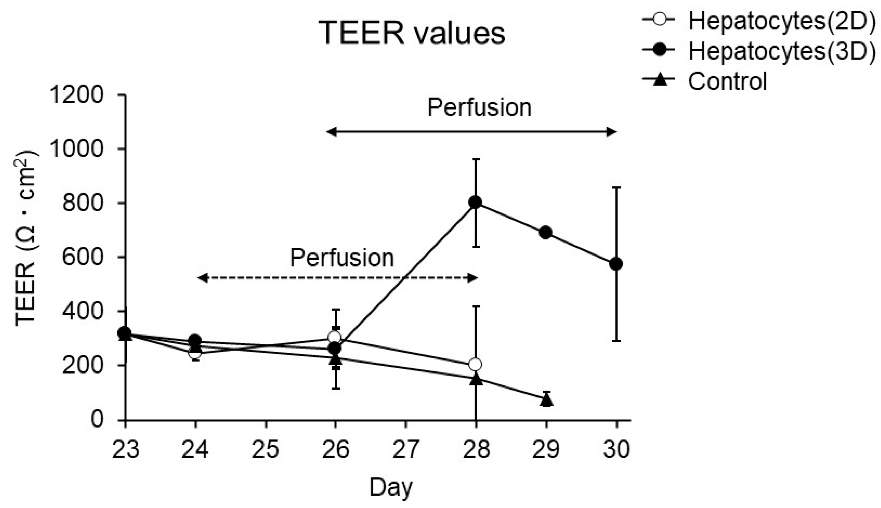 Applsci 13 10510 g006