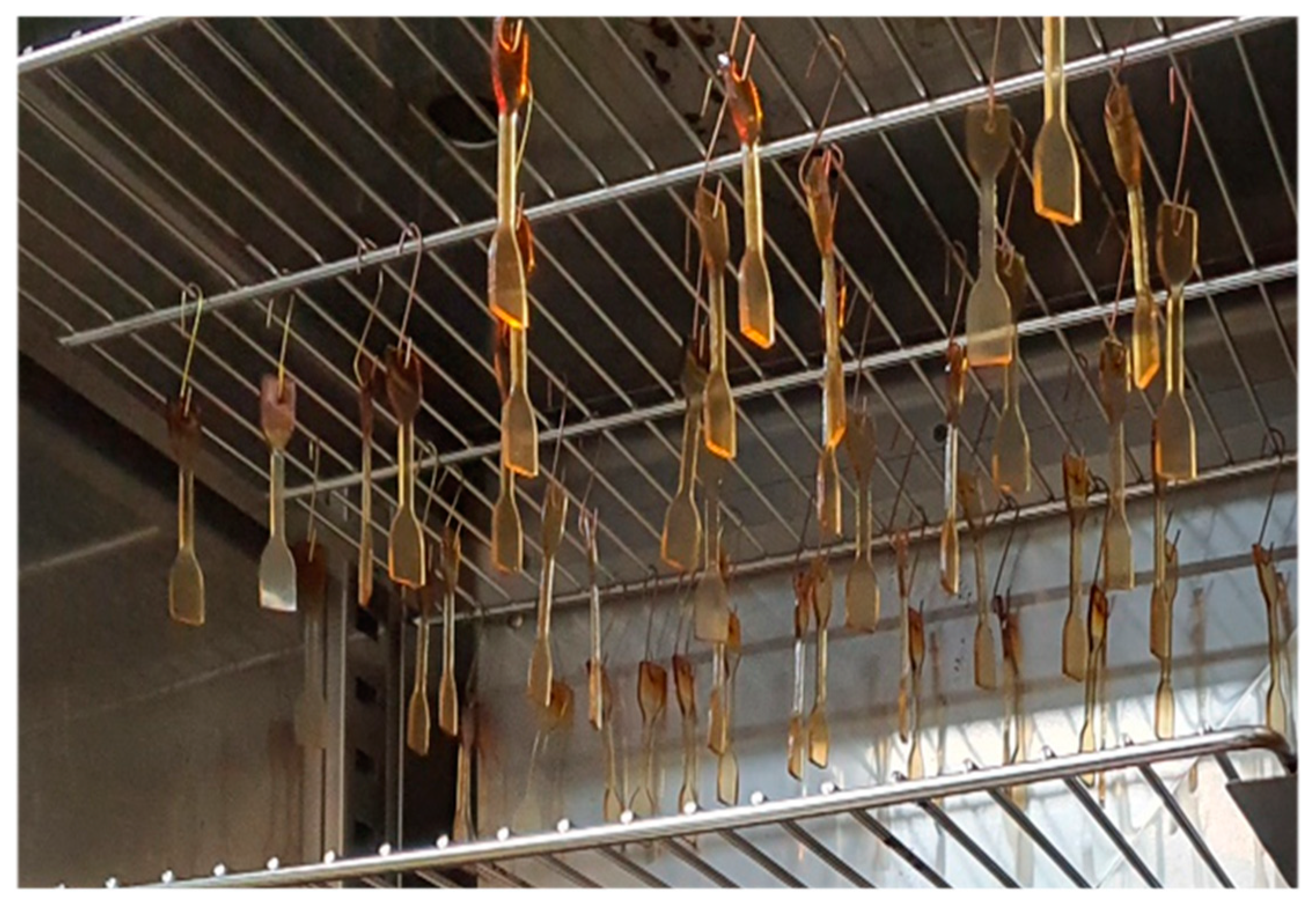 Applsci 13 10516 g001