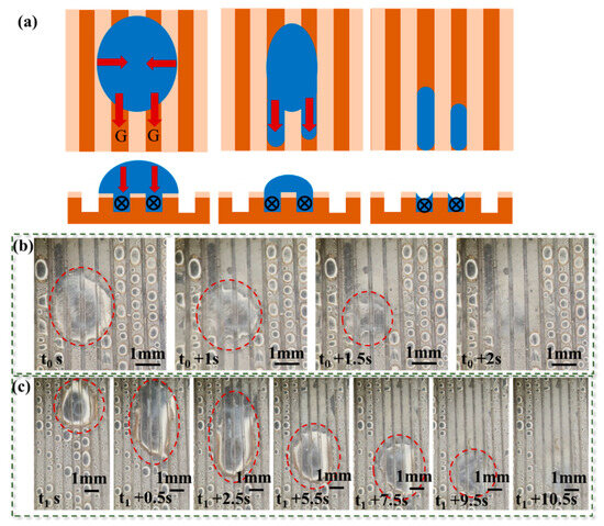 Experimental Study on the Condensation Heat Transfer on a