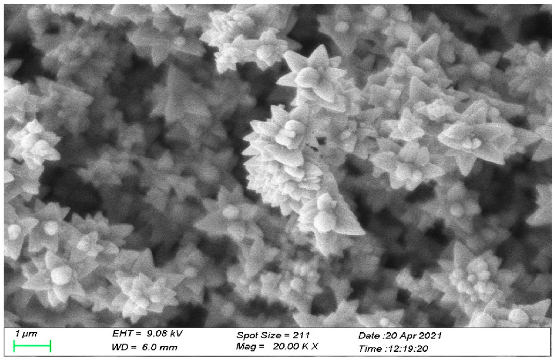 Applsci 13 10525 g002