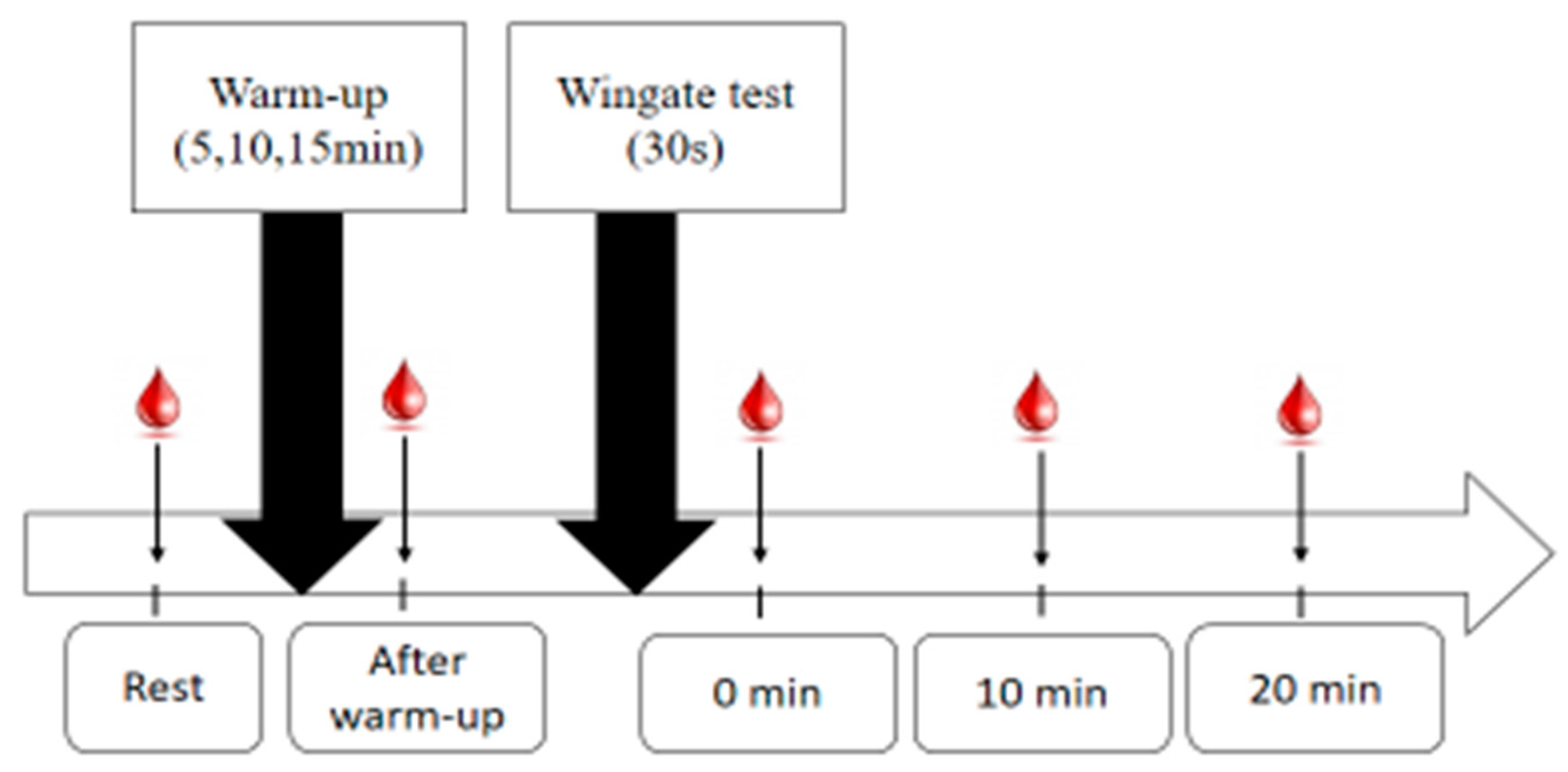 Applsci 13 10576 g001