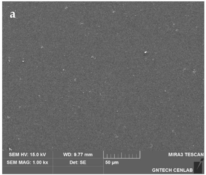 Applsci 13 10584 i019