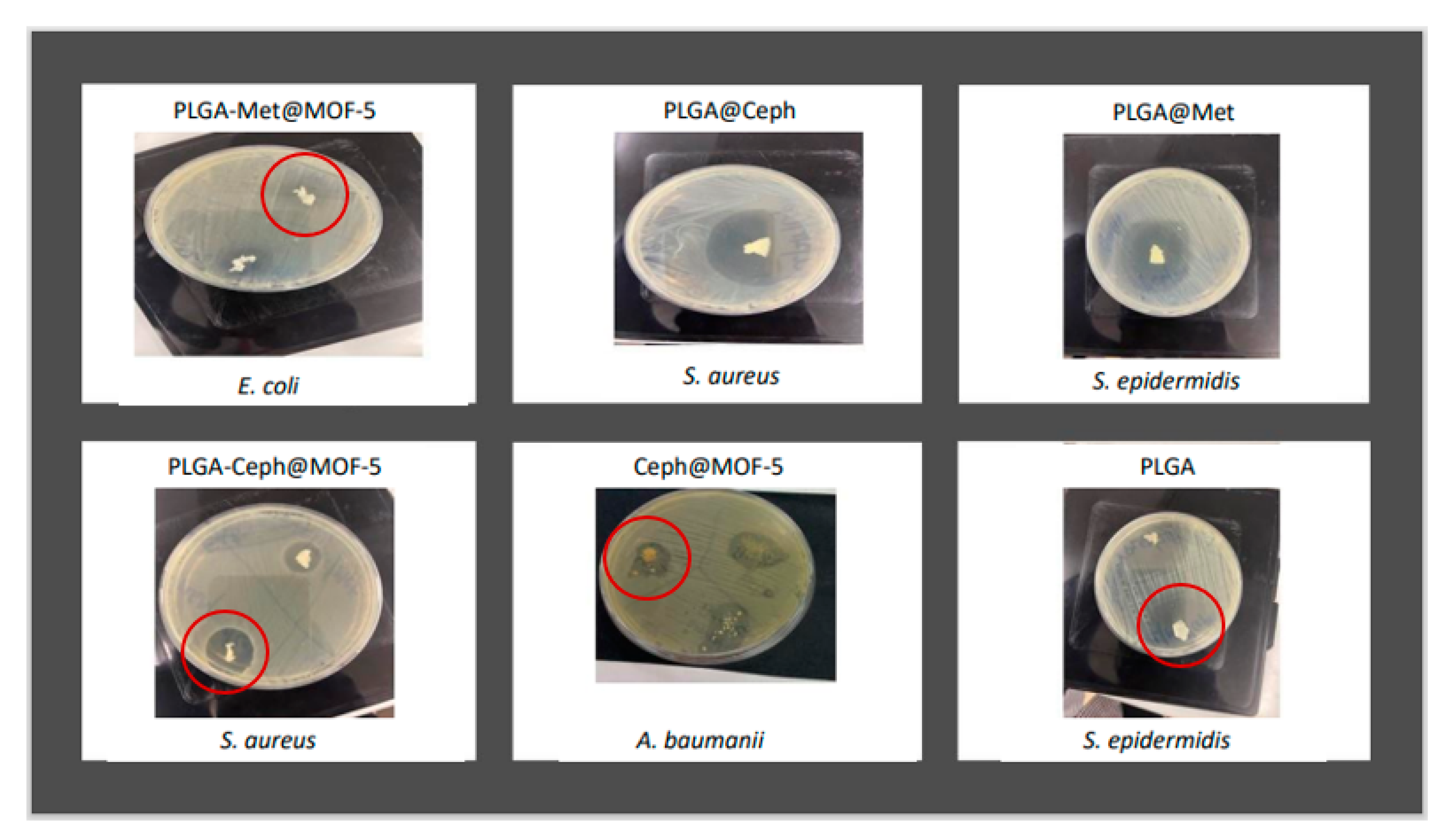 Applsci 13 10611 g009