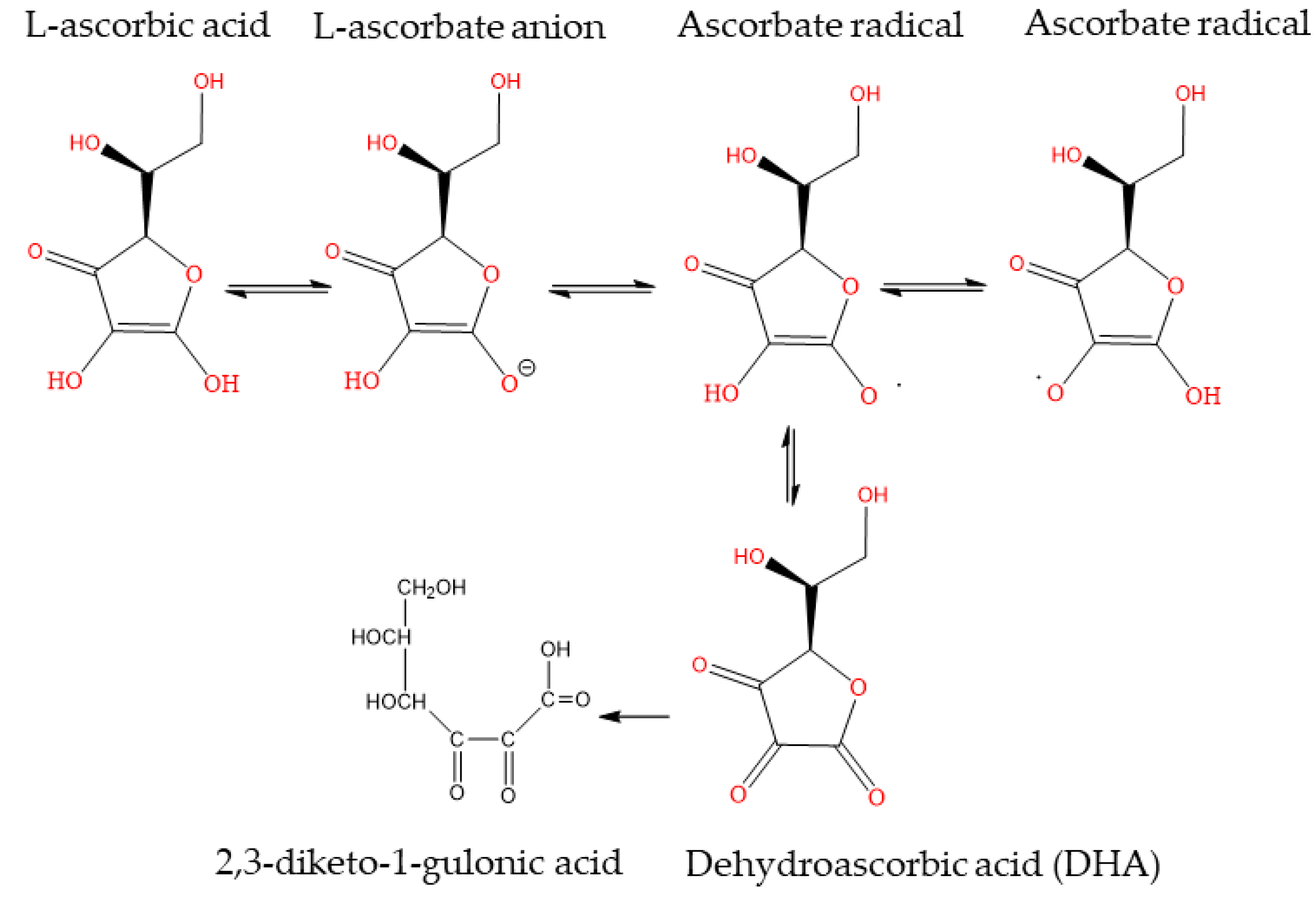 Applsci 13 10640 g001