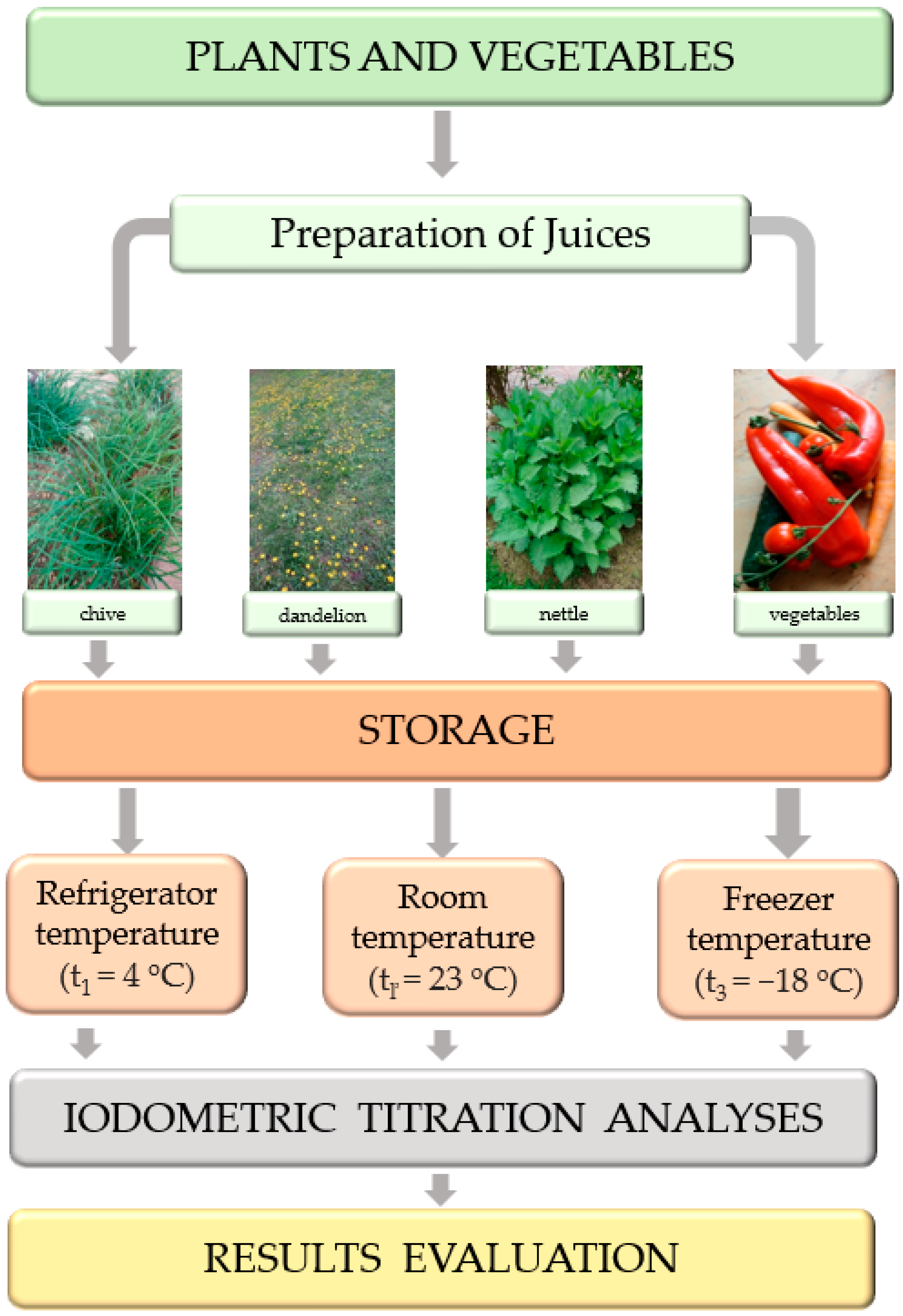 Applsci 13 10640 g002