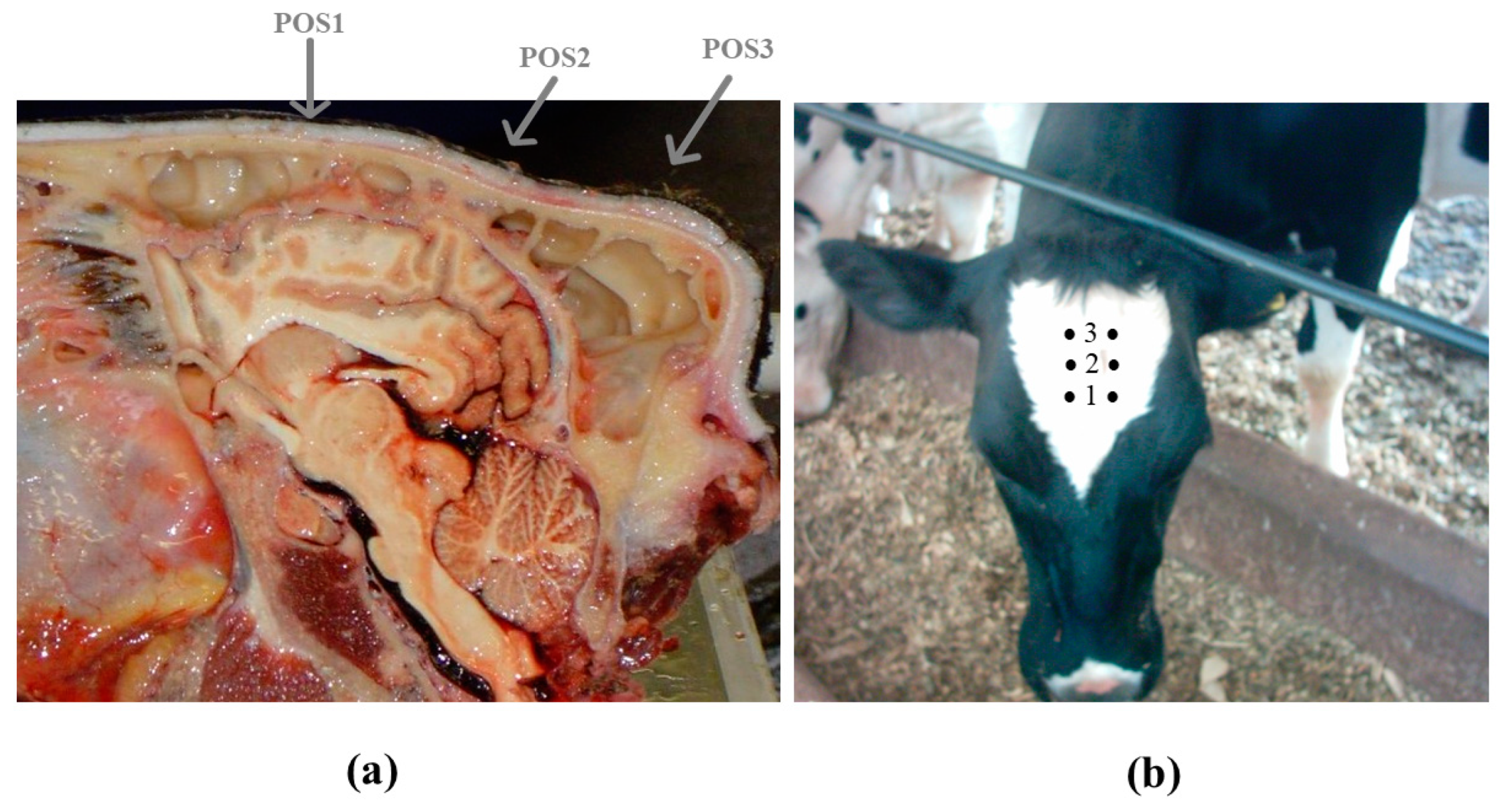 Applsci 13 10722 g004