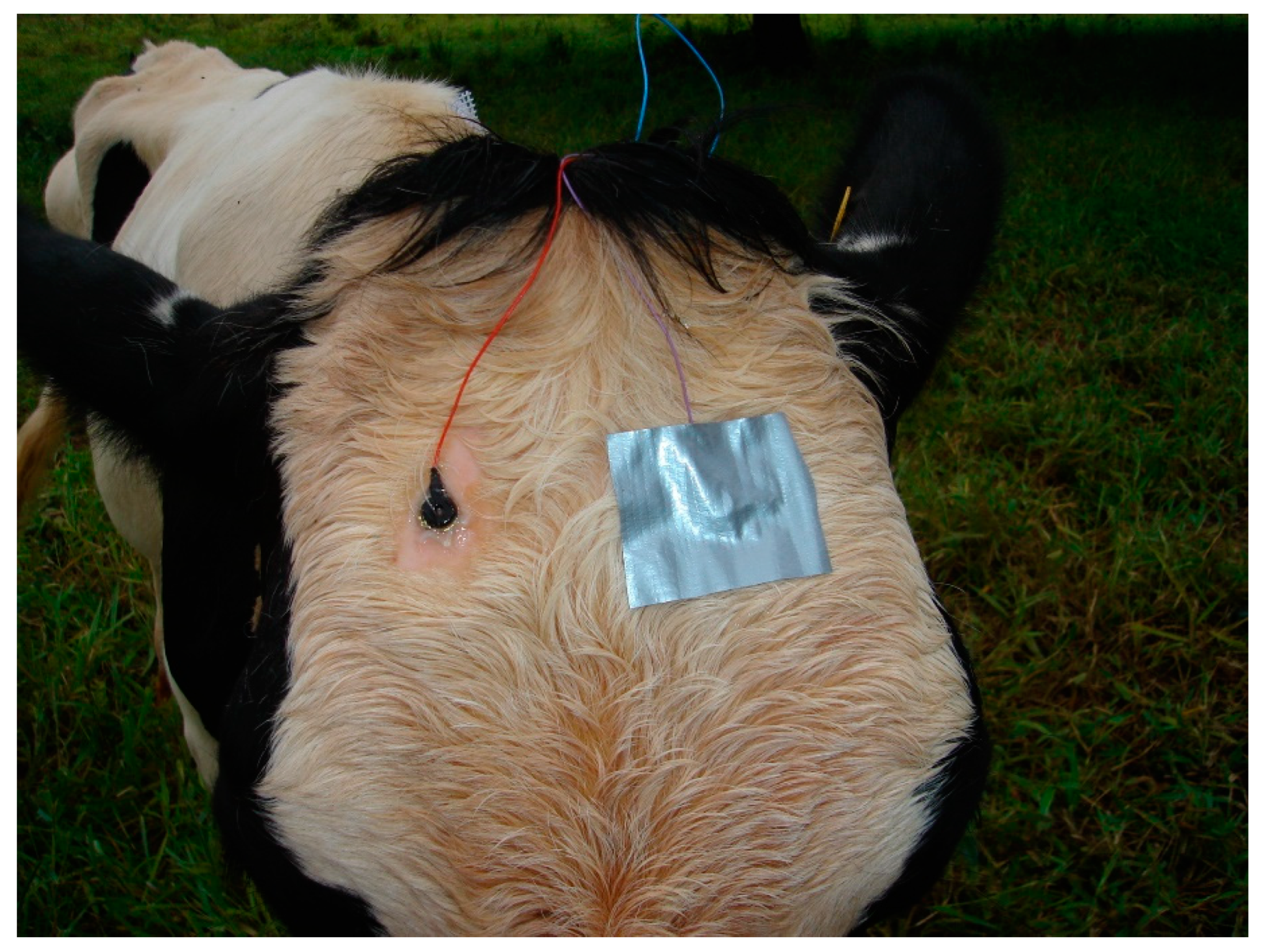 Applsci 13 10722 g005