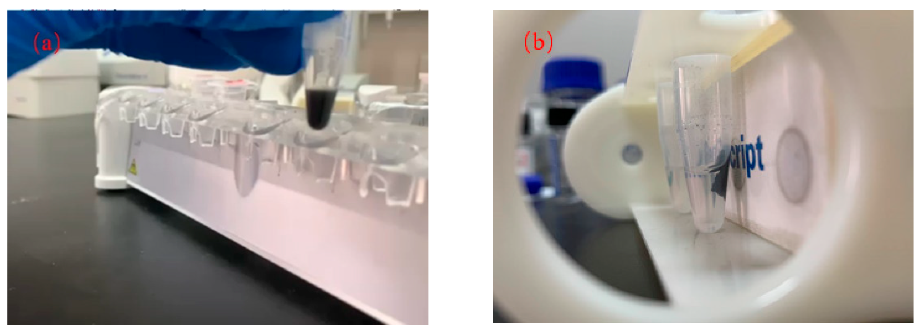 Applsci 13 10731 g002