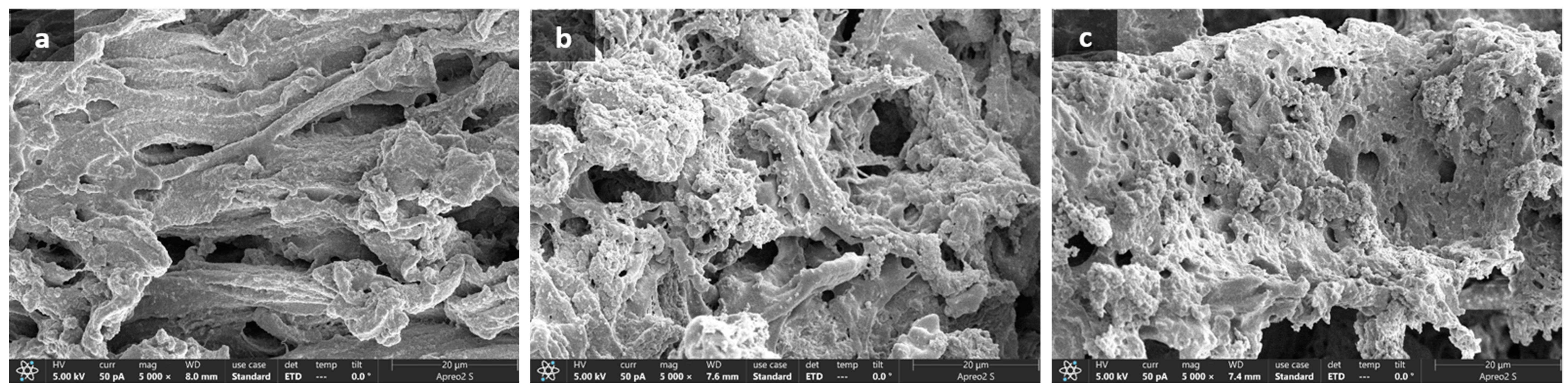 Applsci 13 10735 g002