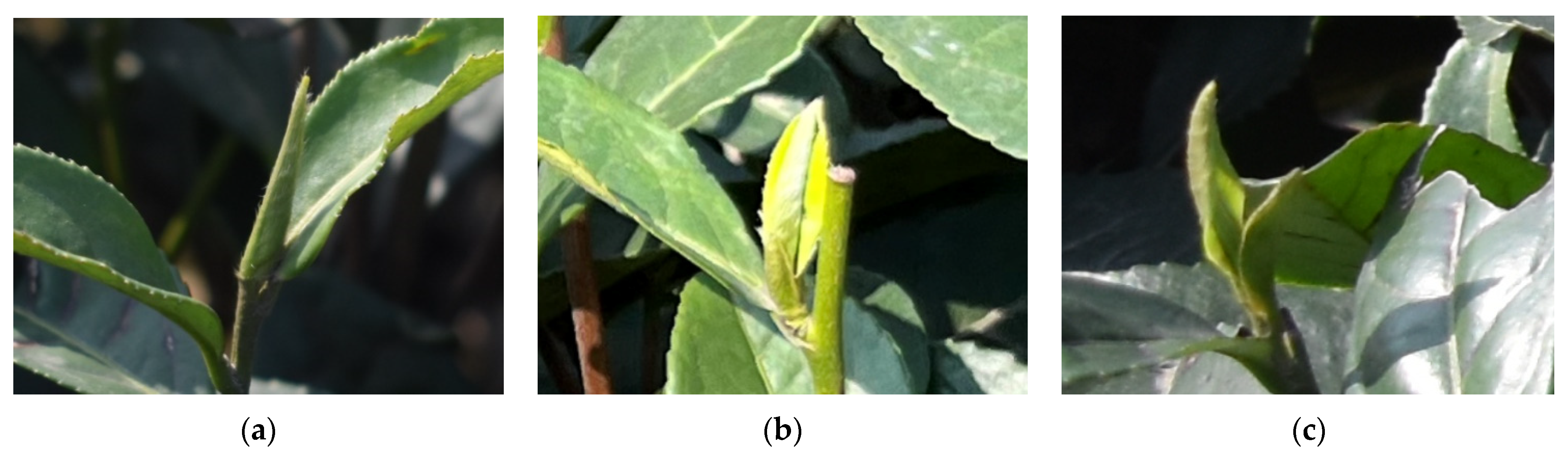 Applsci 13 10744 g005