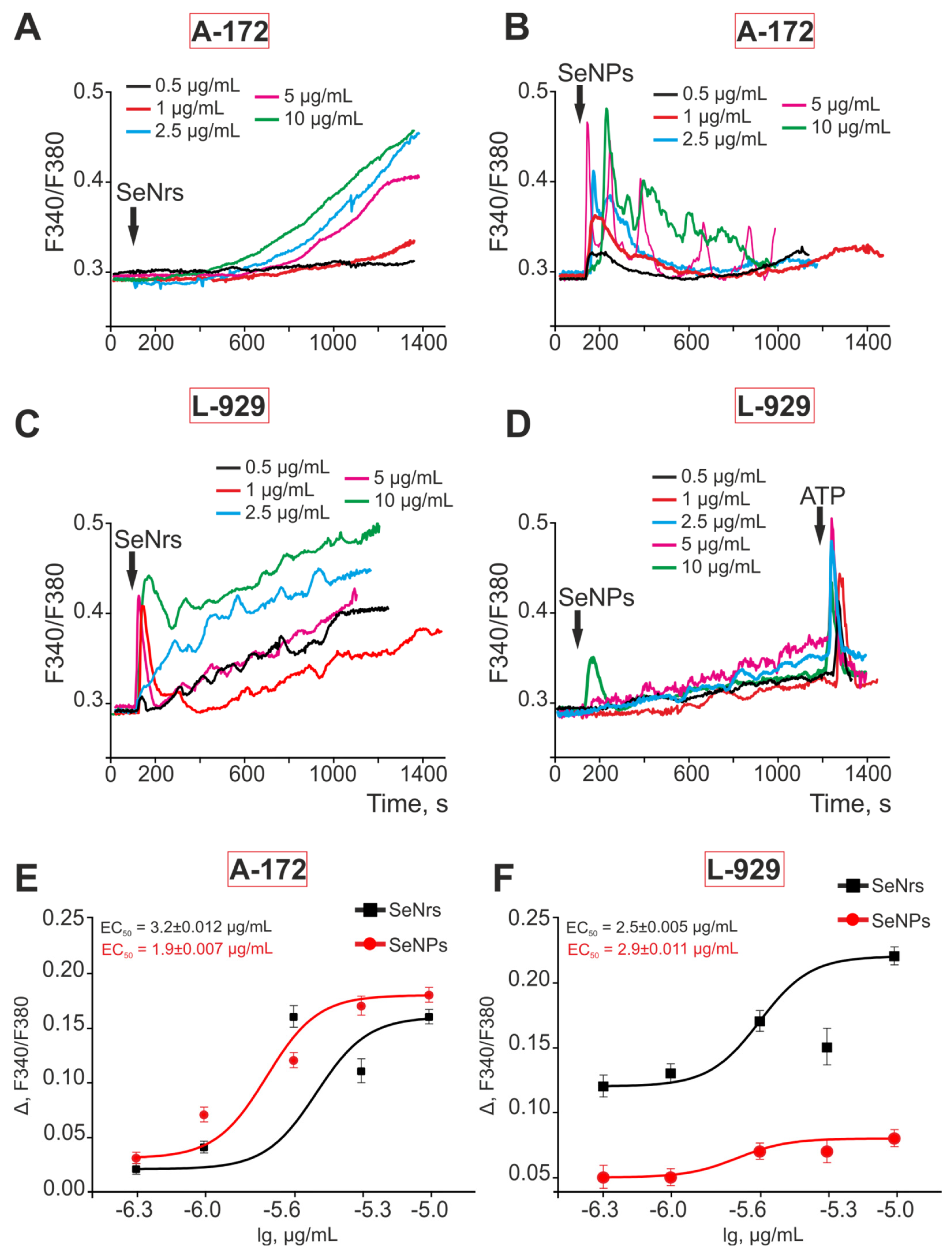 Applsci 13 10763 g003