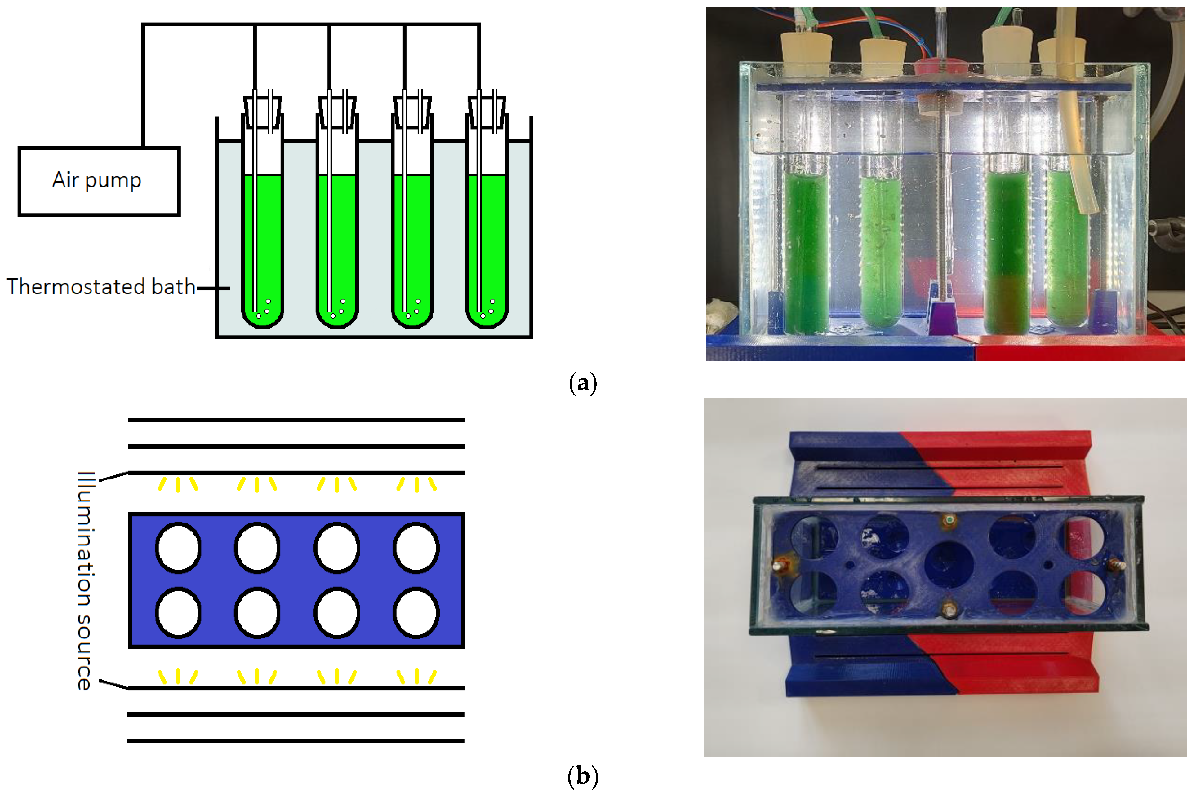 Applsci 13 10779 g002