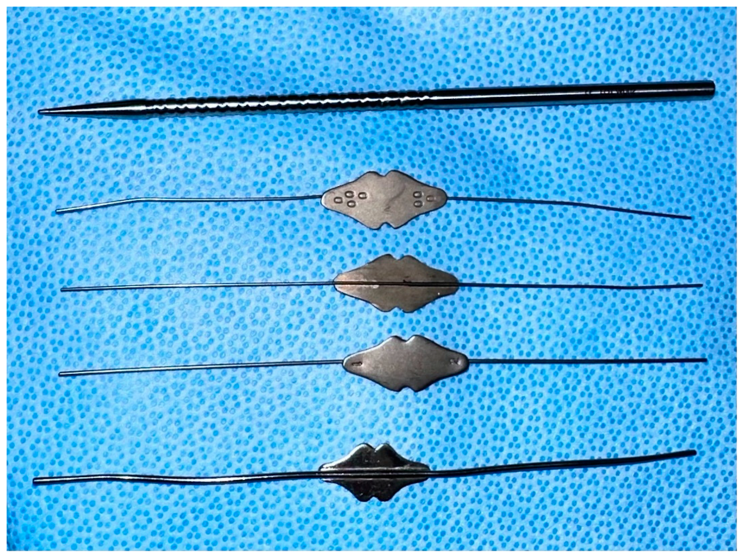 Applsci 13 10780 g001 Applsci 13 10780 g001