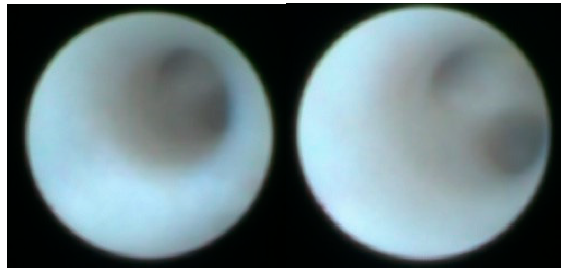 Applsci 13 10780 g003 Applsci 13 10780 g003