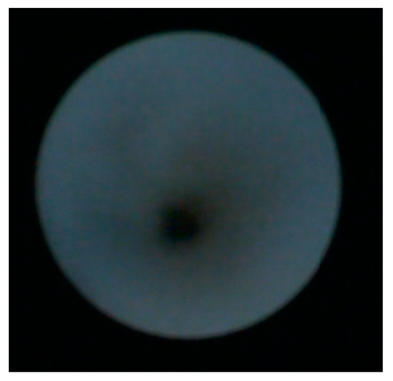 Applsci 13 10780 g004 Applsci 13 10780 g004