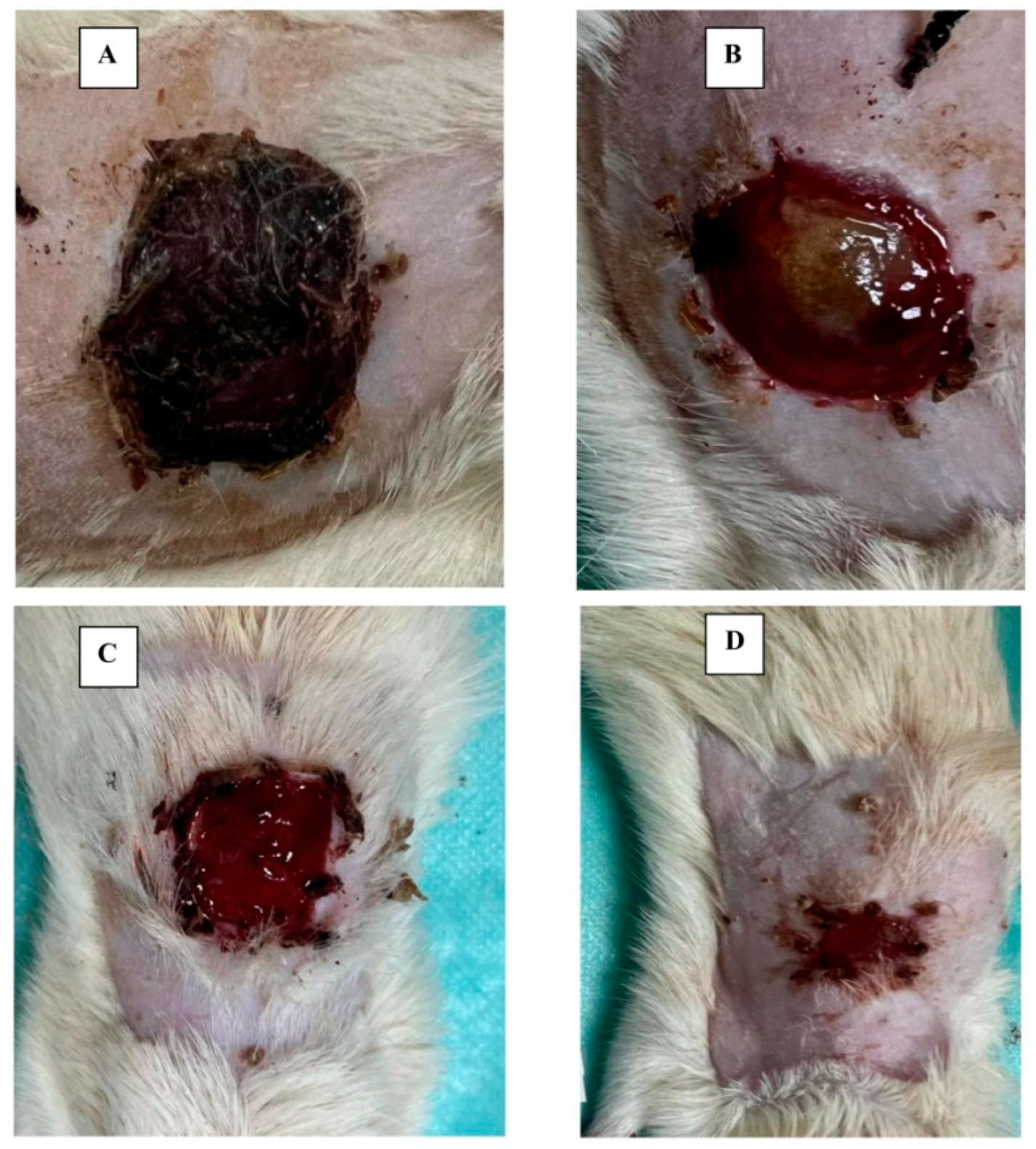 Applsci 13 10794 g007