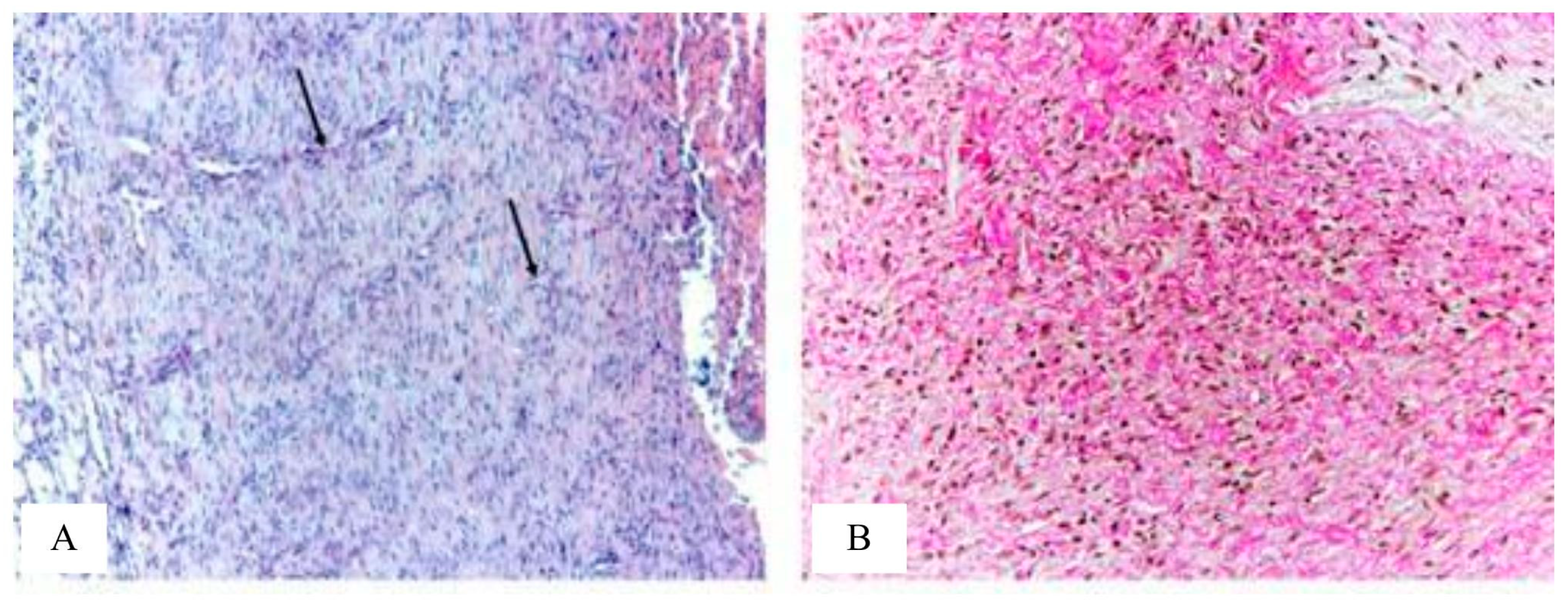 Applsci 13 10794 g009