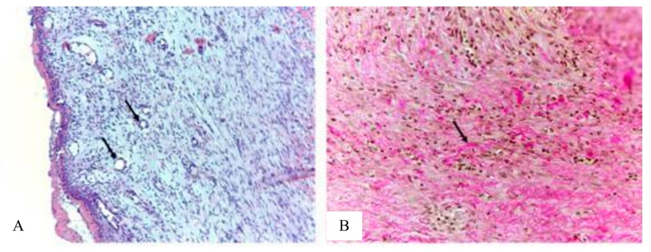 Applsci 13 10794 g010