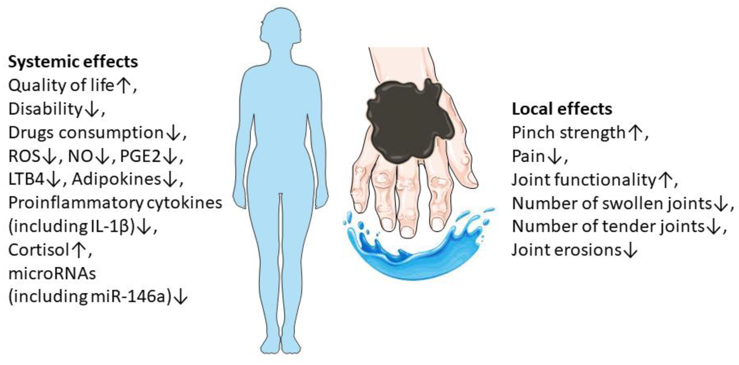 Applsci 13 10839 g002