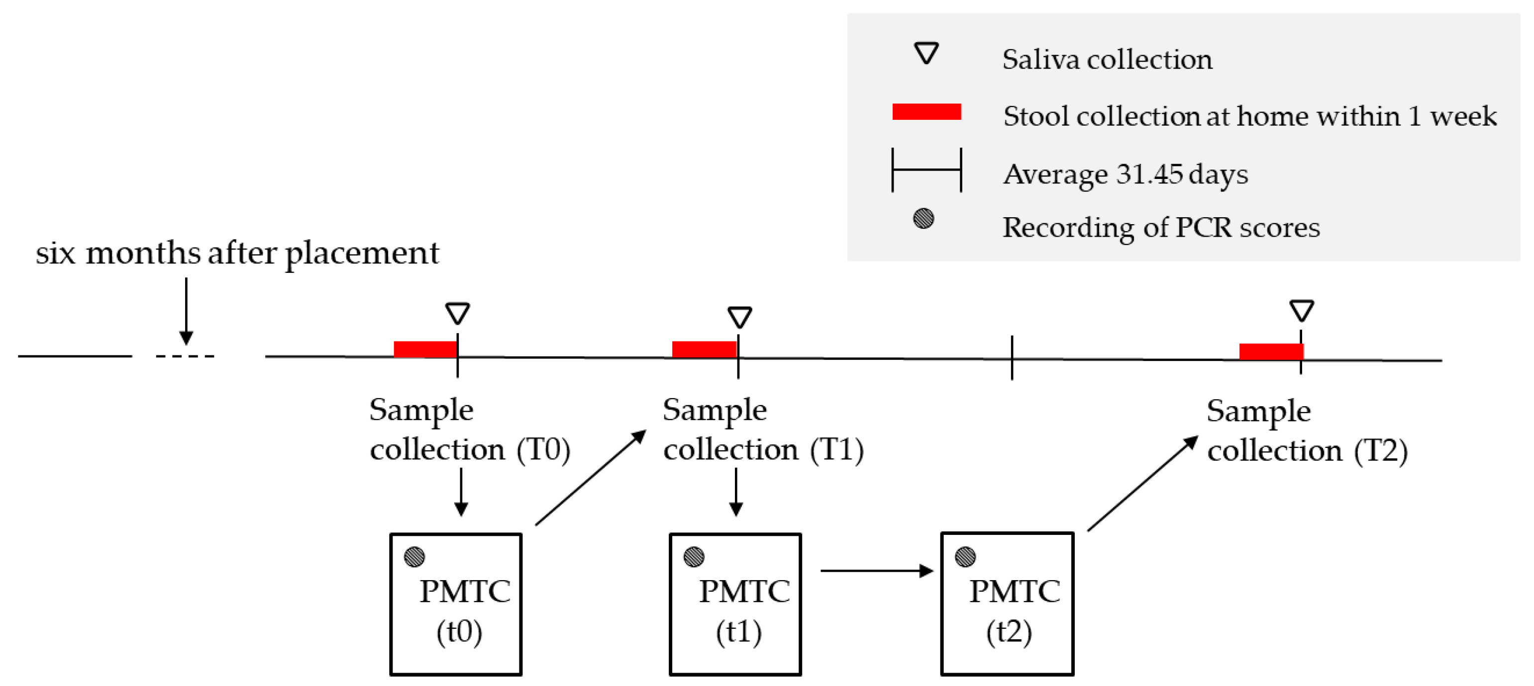 Applsci 13 10843 g001 Applsci 13 10843 g001