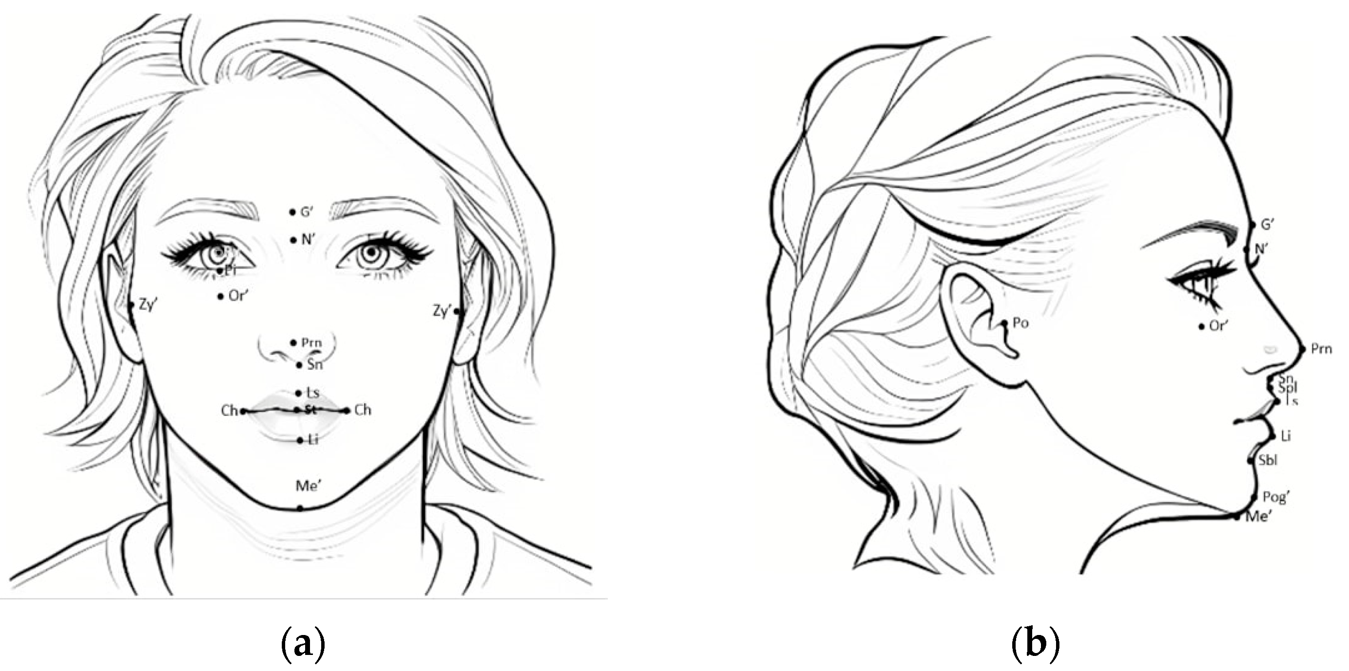 Applsci 13 10860 g001