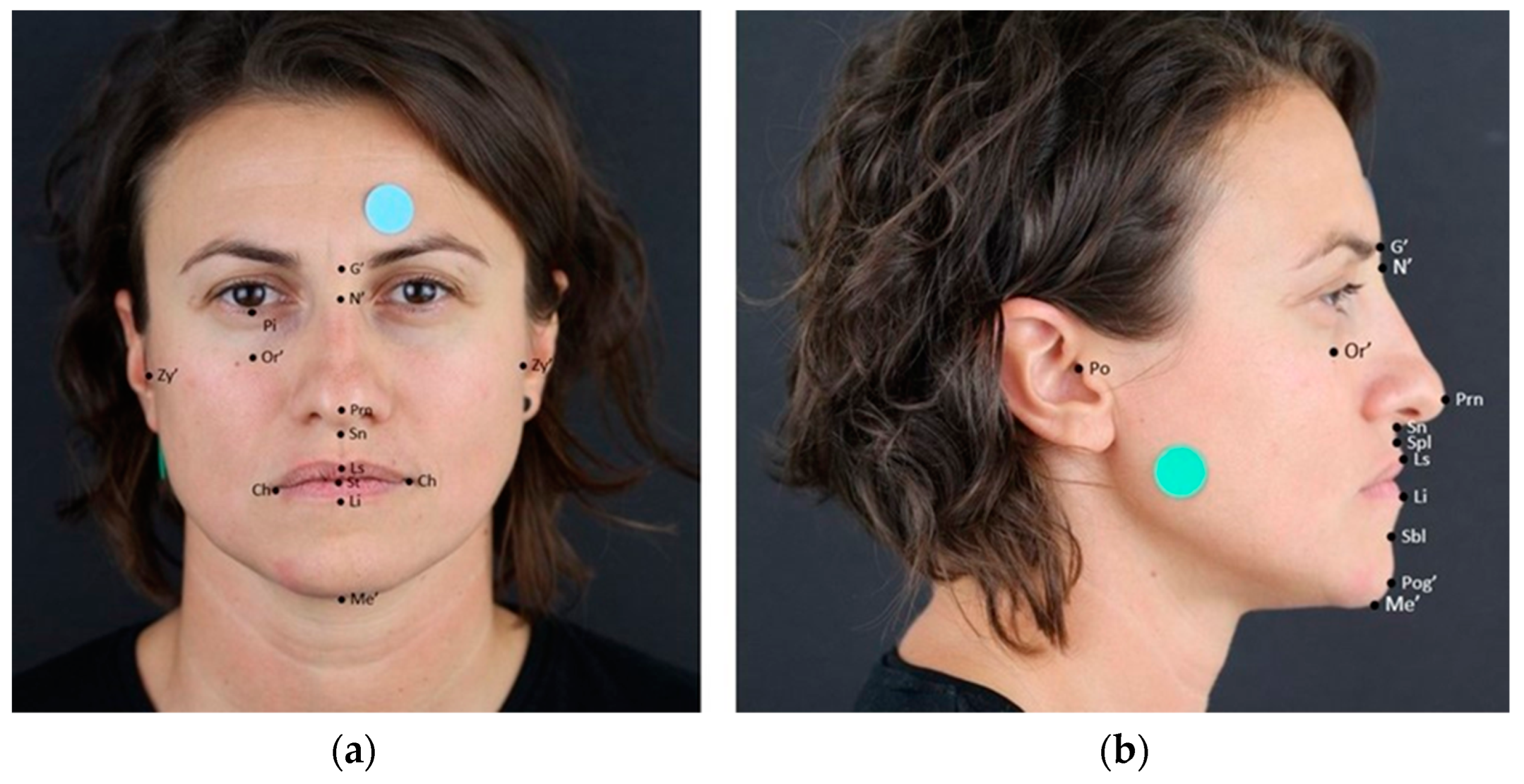 Applsci 13 10860 g002