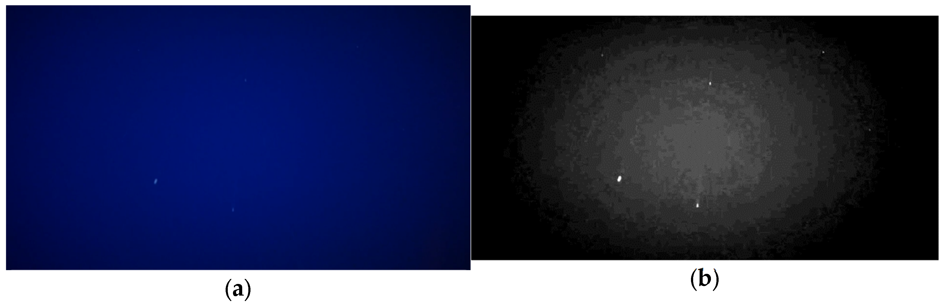 Applsci 13 10870 g002