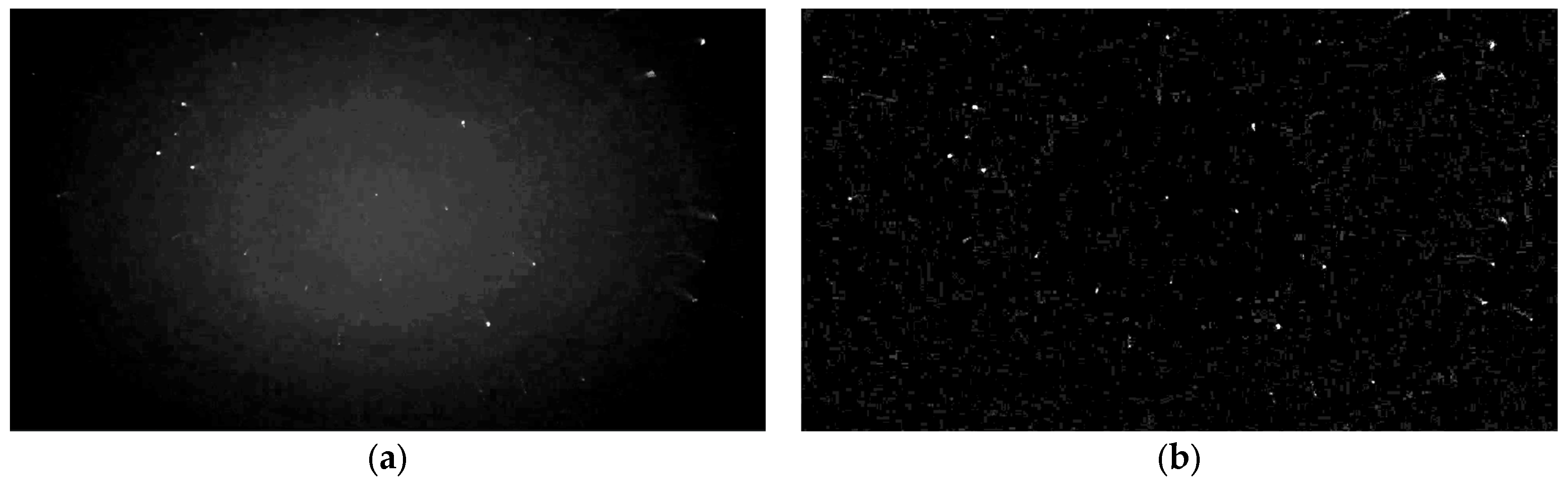 Applsci 13 10870 g004