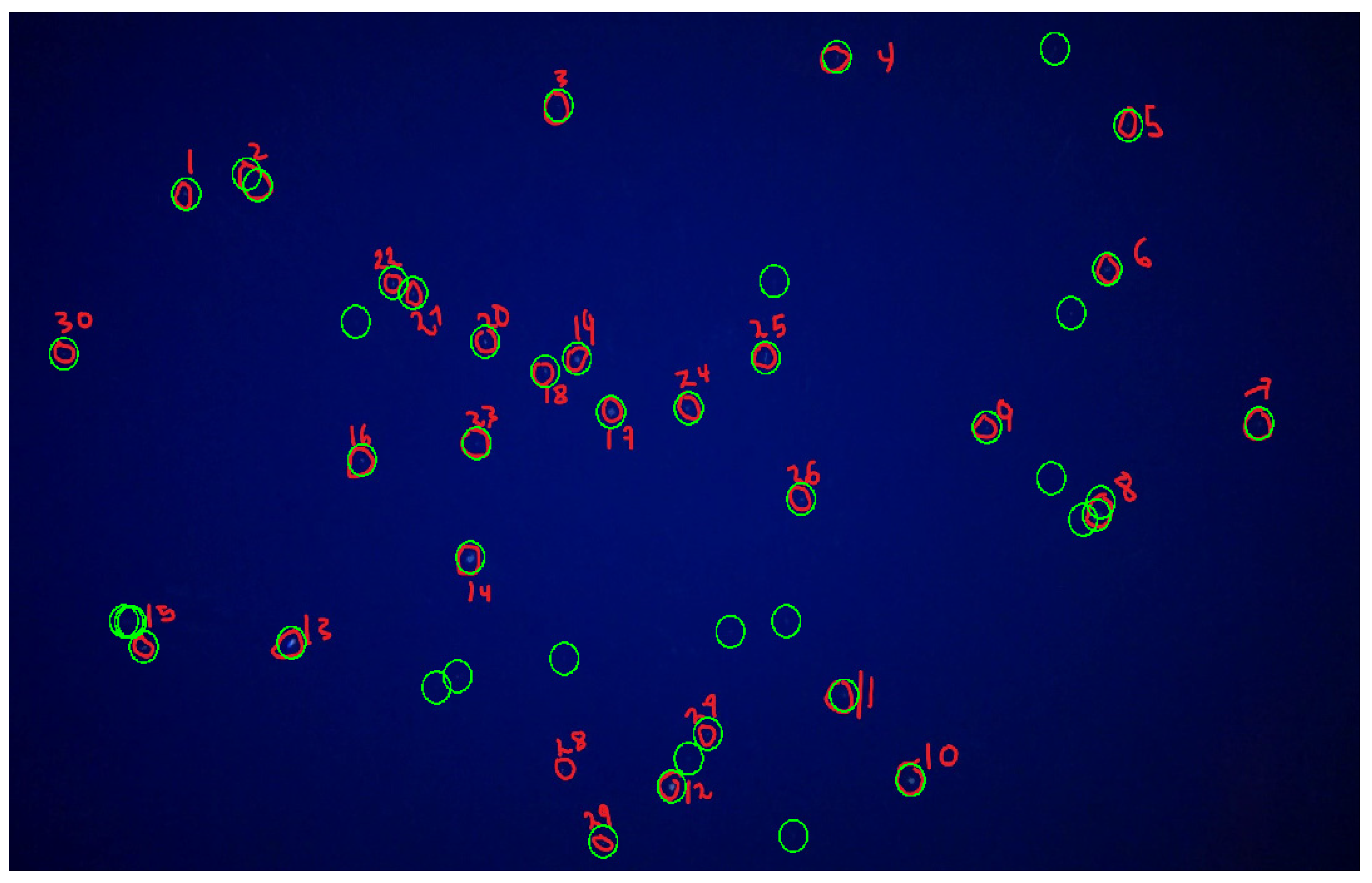 Applsci 13 10870 g011