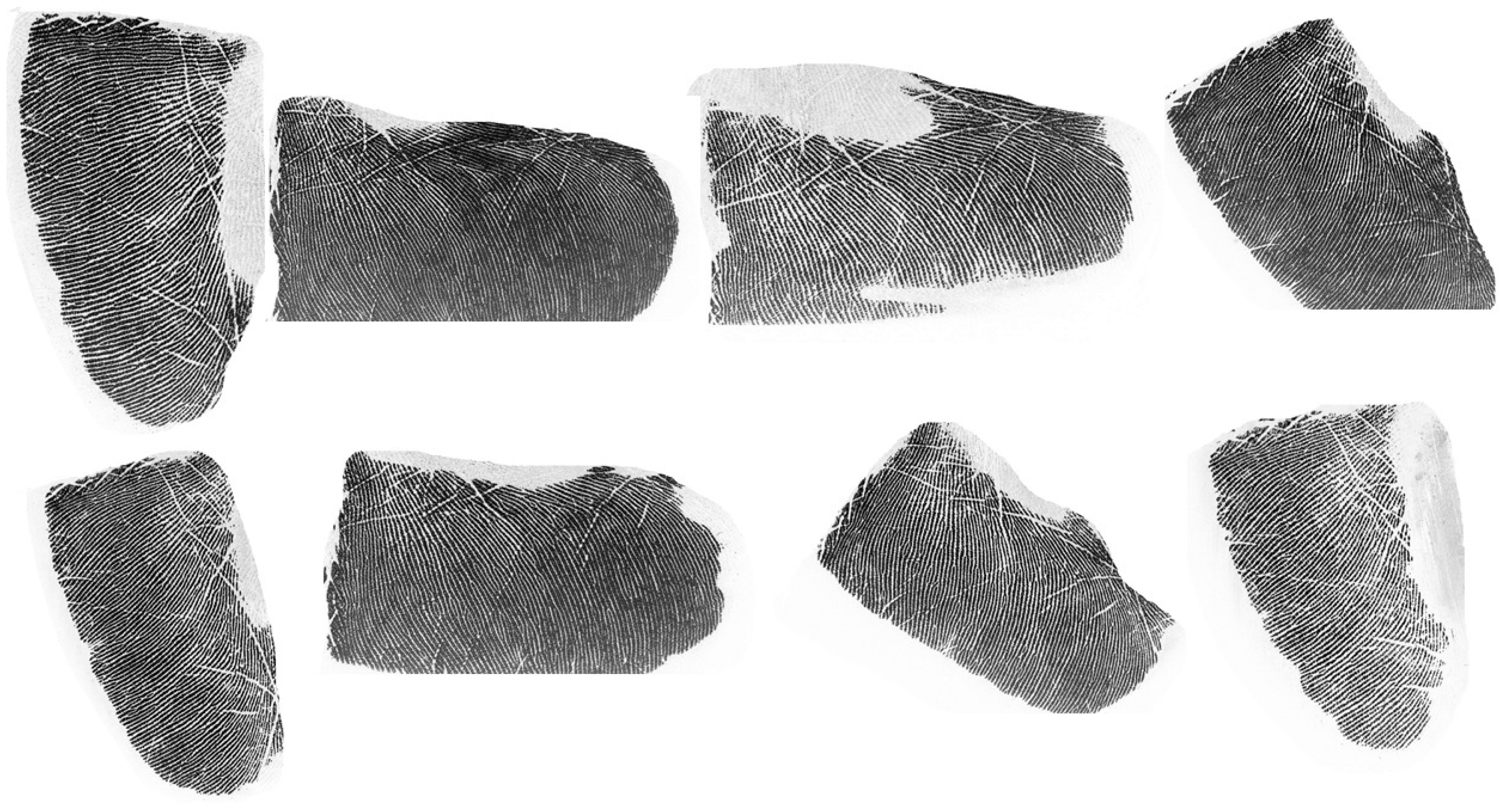 Applsci 13 10874 g001