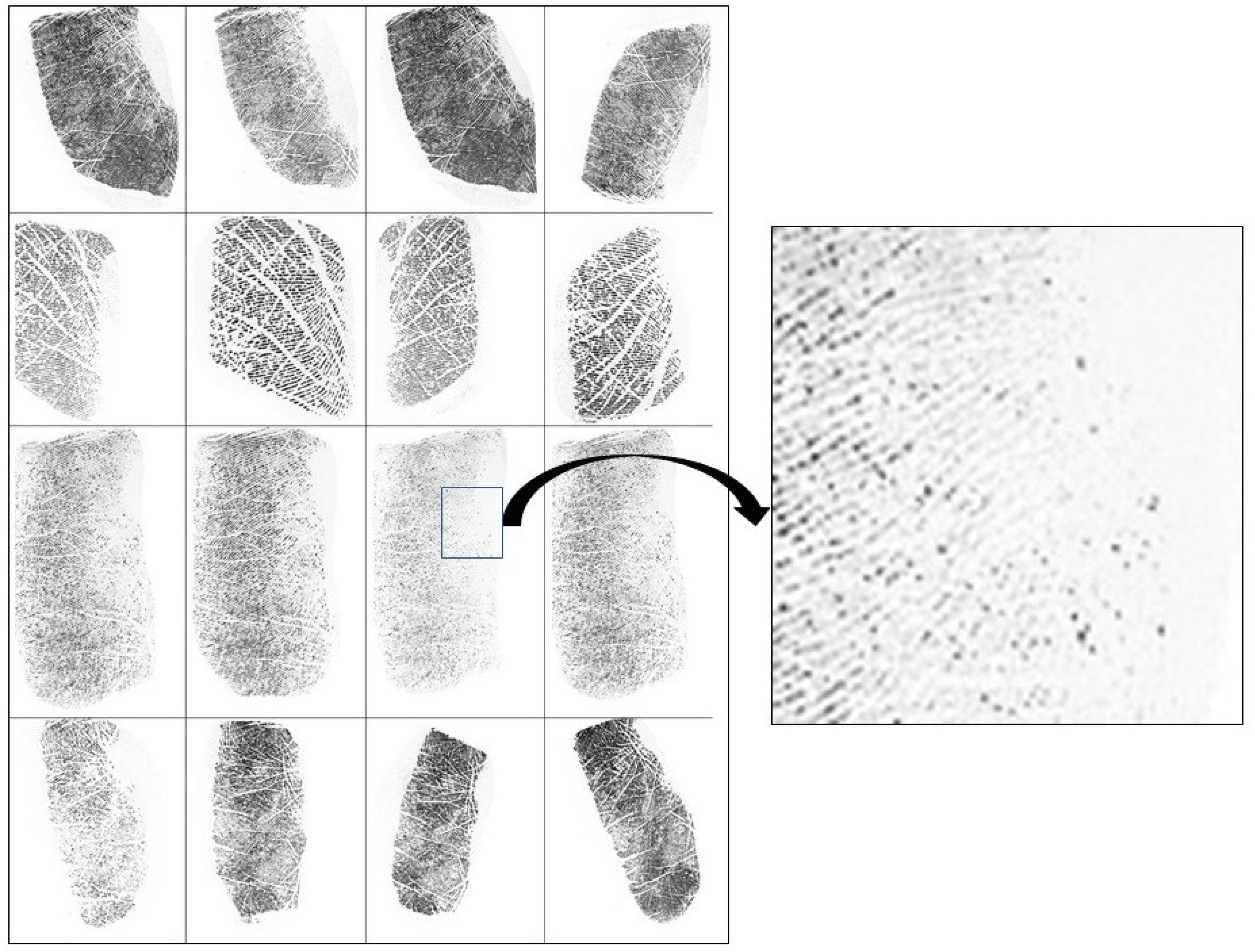 Applsci 13 10874 g002