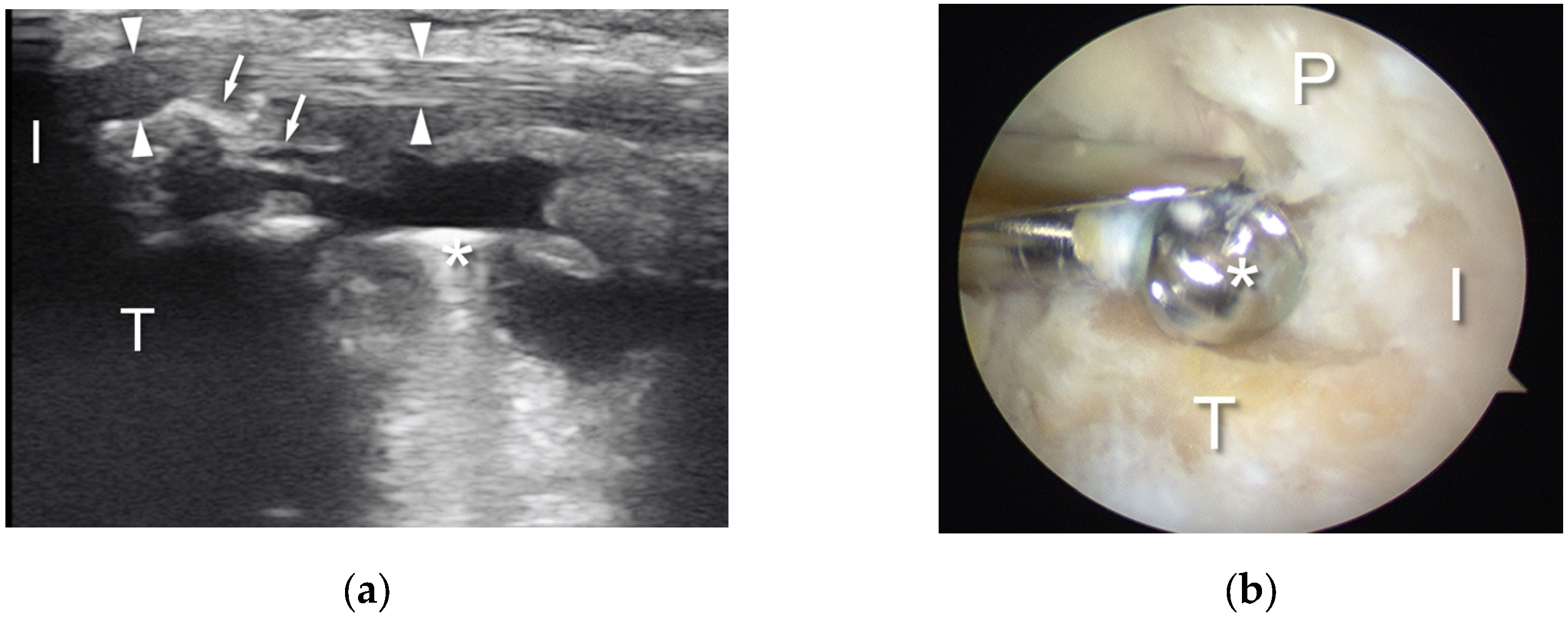 Applsci 13 10900 g002