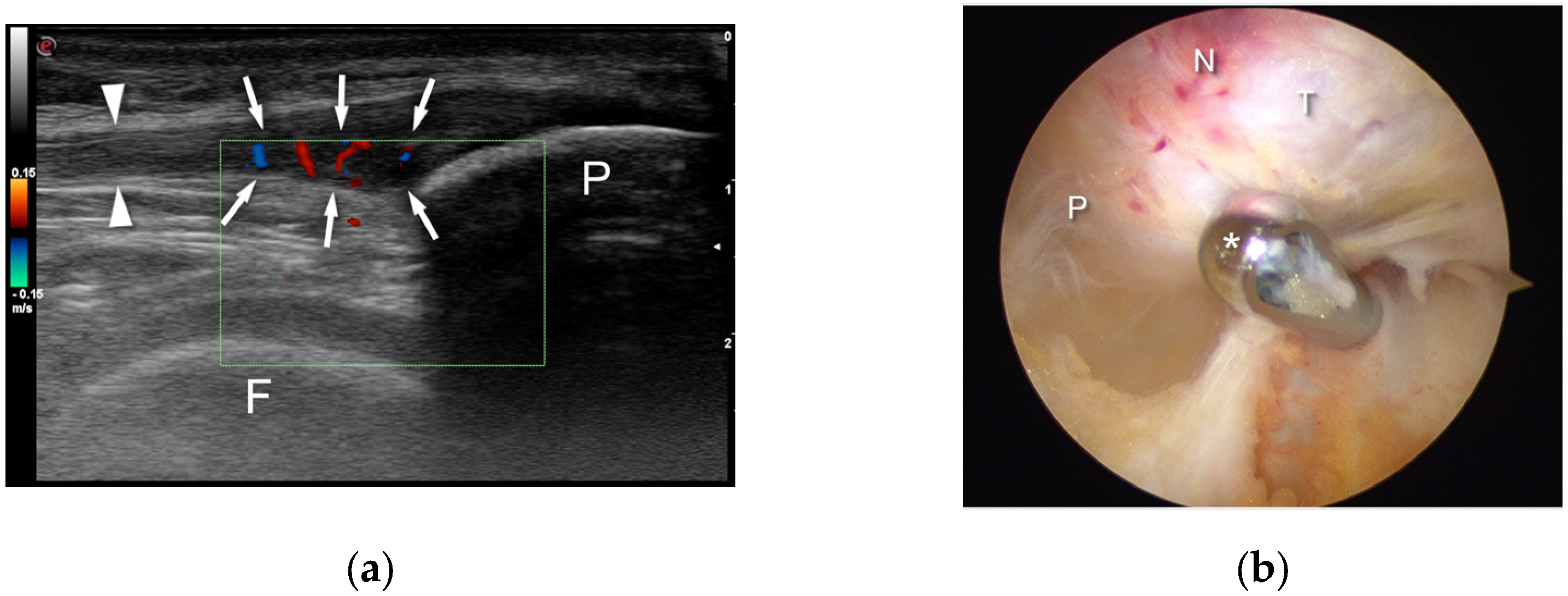 Applsci 13 10900 g003