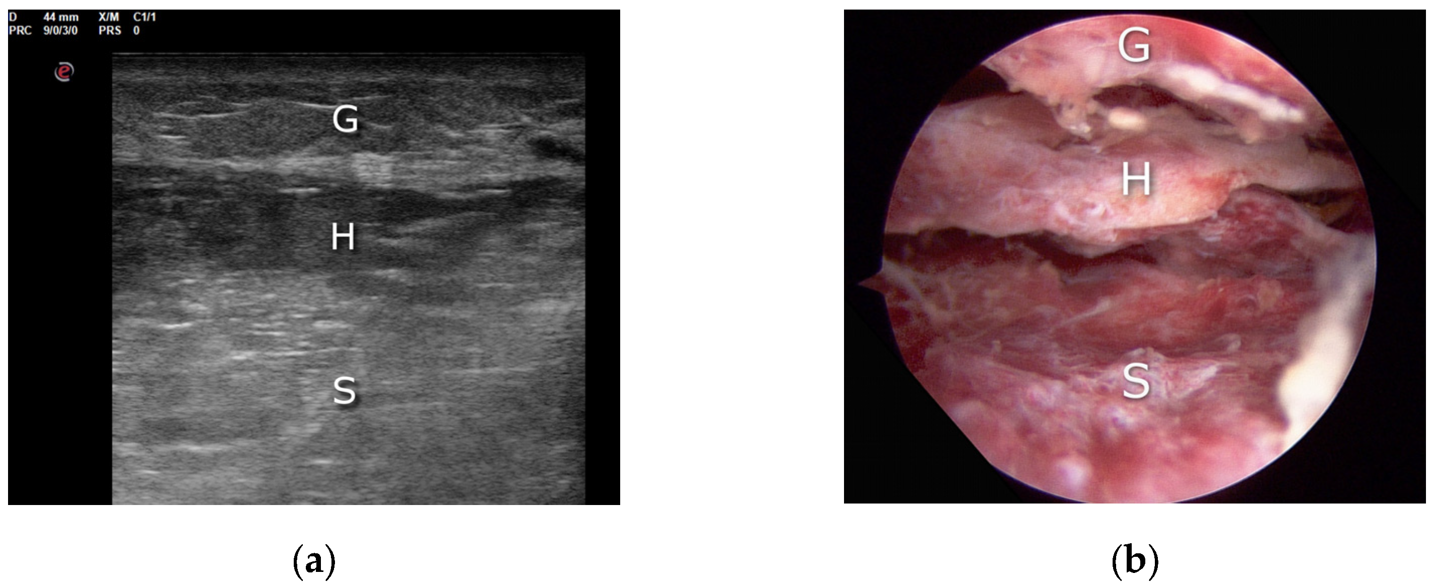 Applsci 13 10900 g005