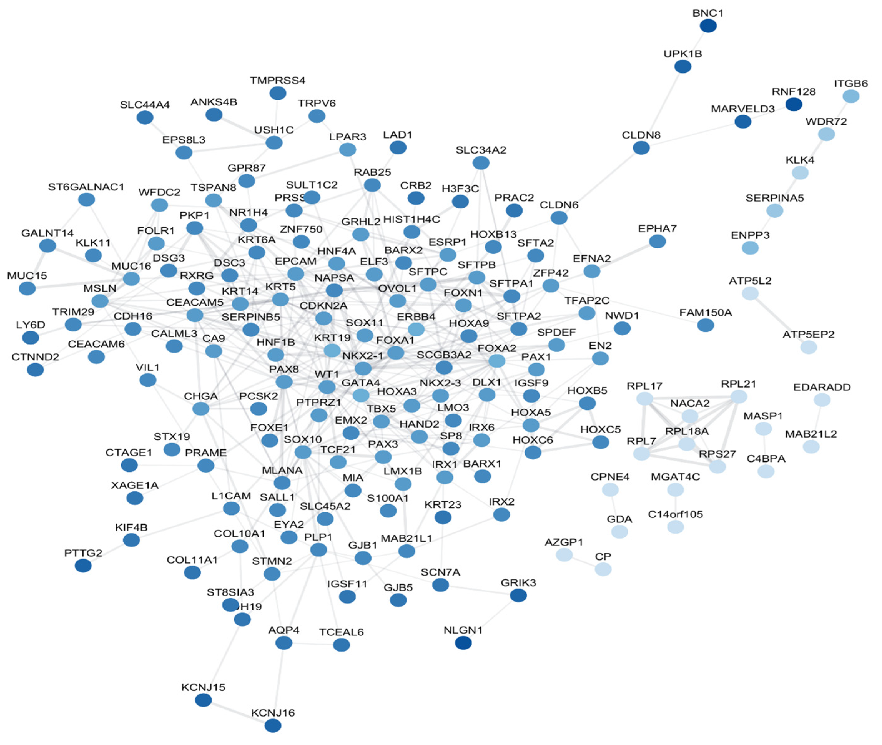 Applsci 13 10919 g004