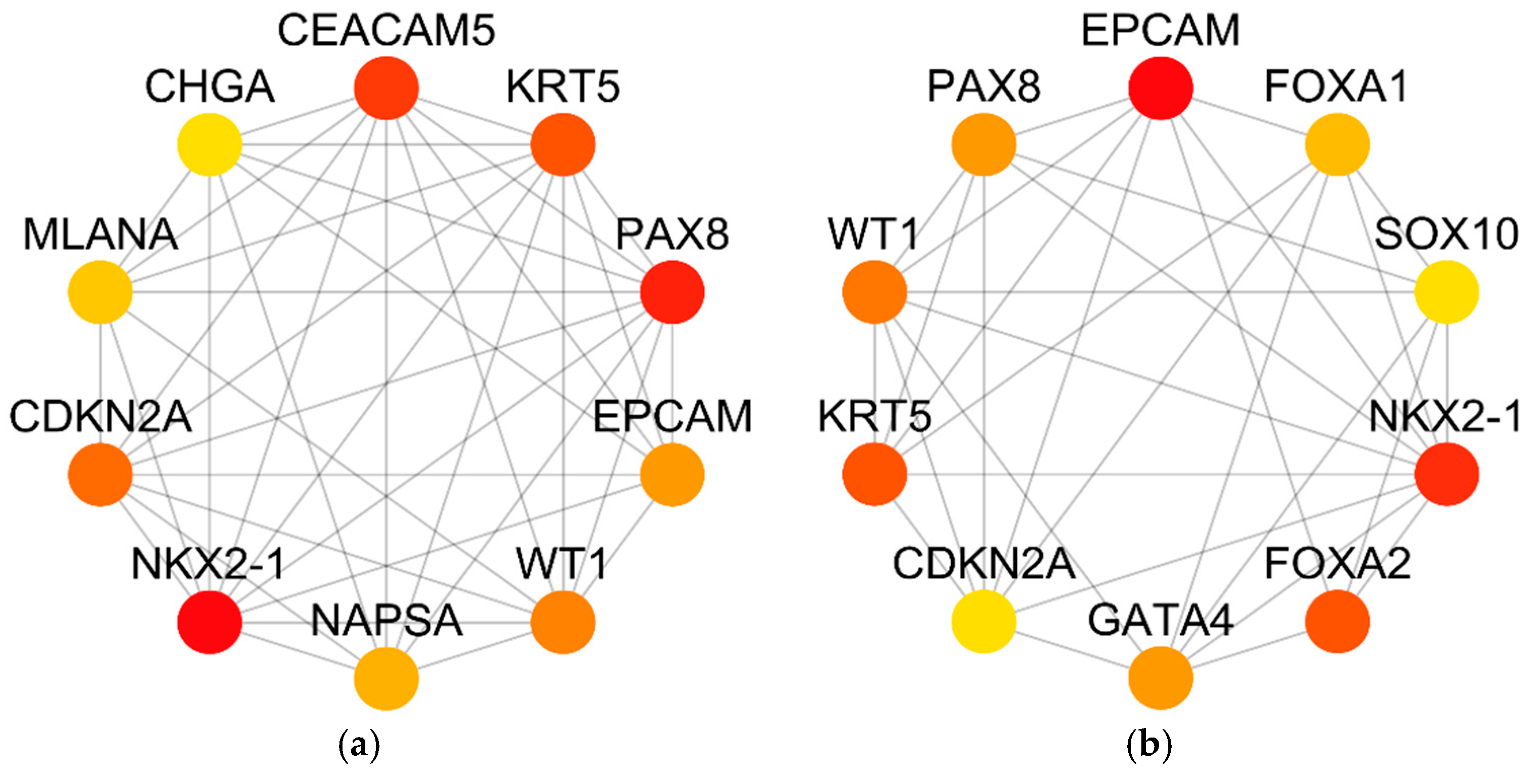 Applsci 13 10919 g005