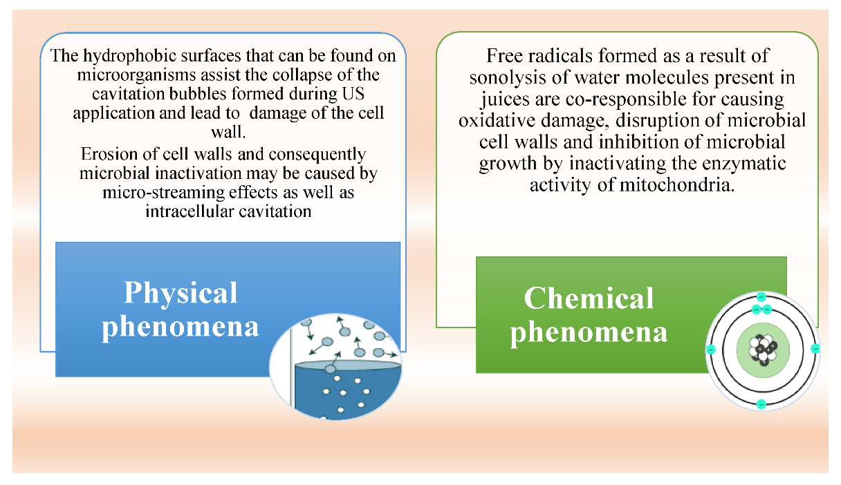 Applsci 13 10961 g003