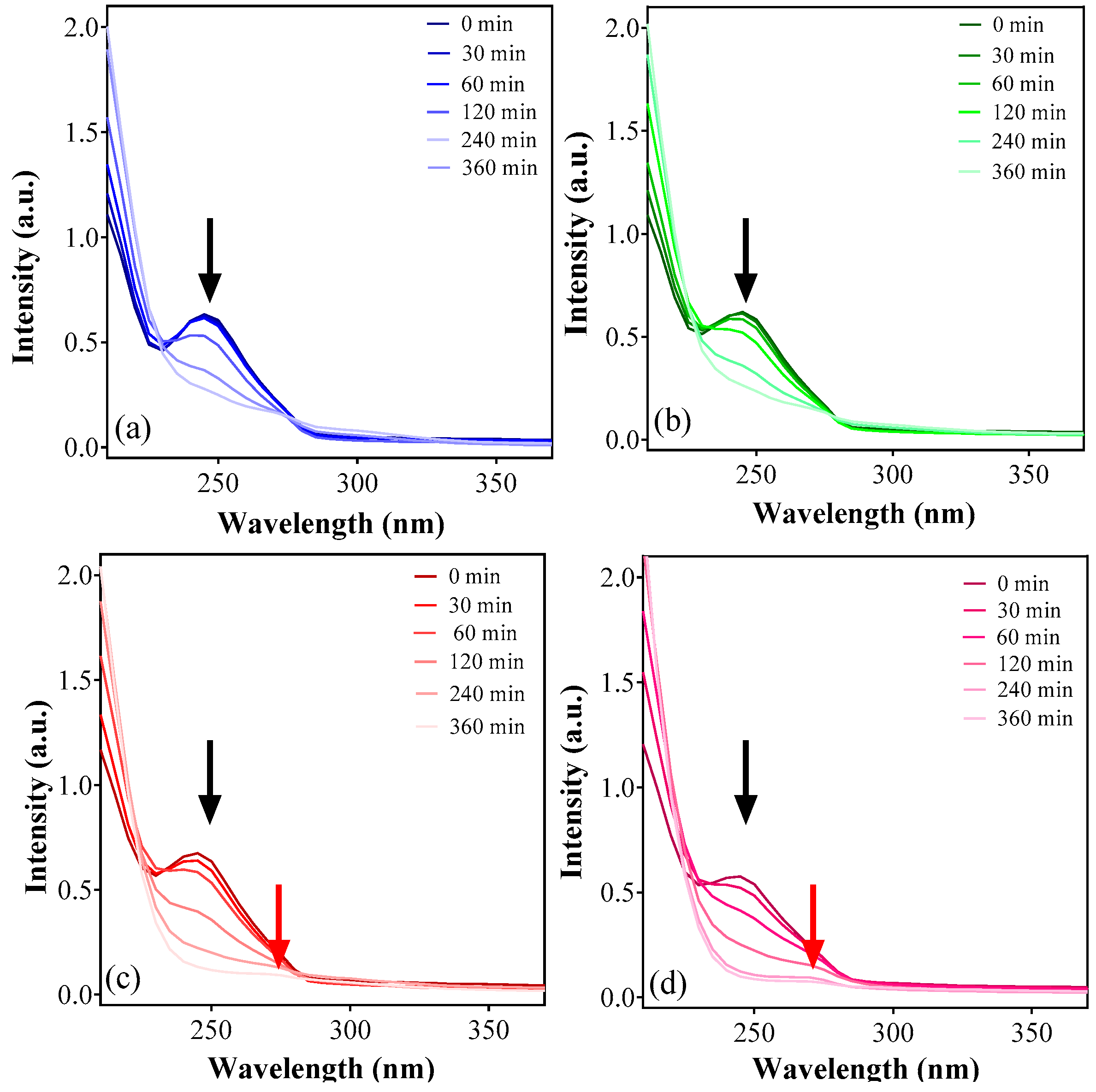 Applsci 13 10963 g002