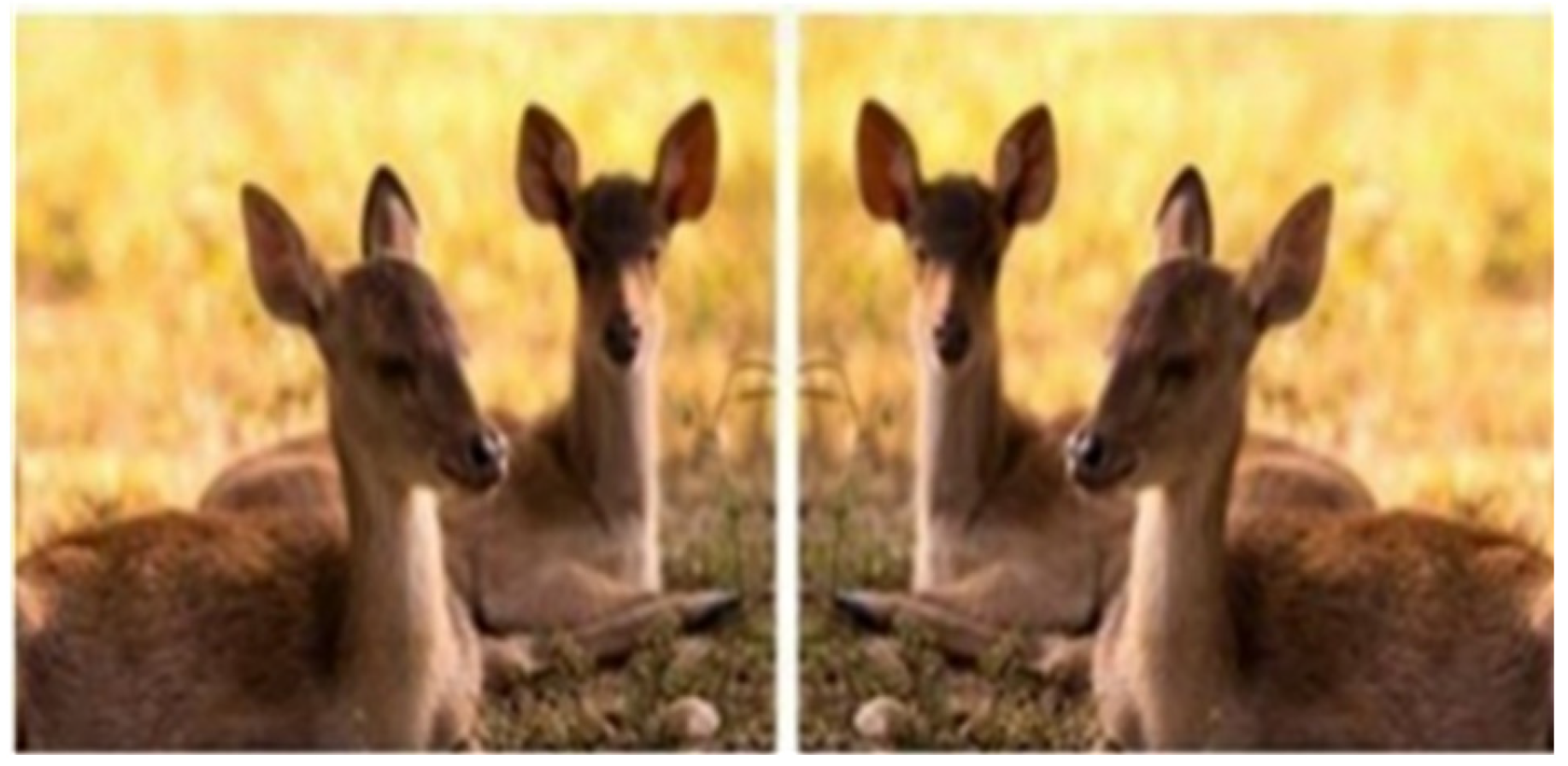 Applsci 13 10980 g007