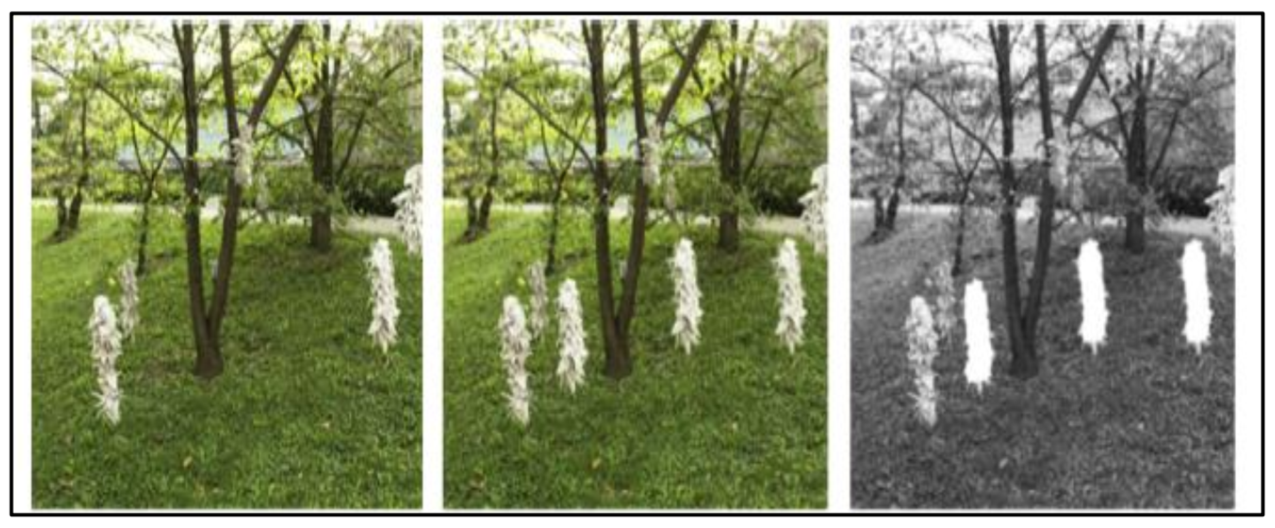 Applsci 13 10980 g012