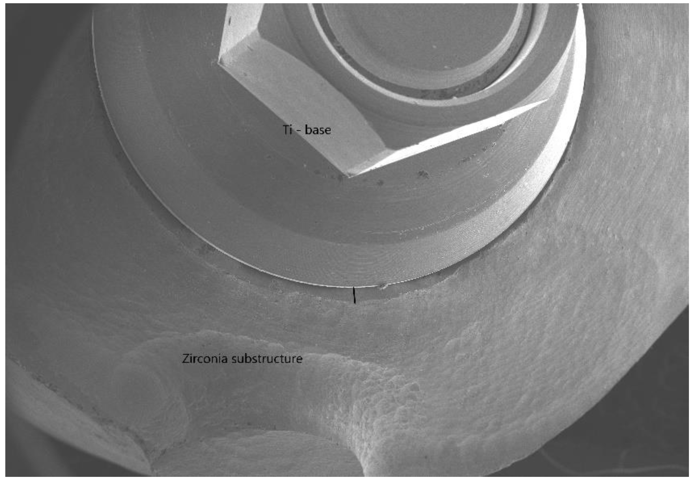 Applsci 13 10984 g003 Applsci 13 10984 g003