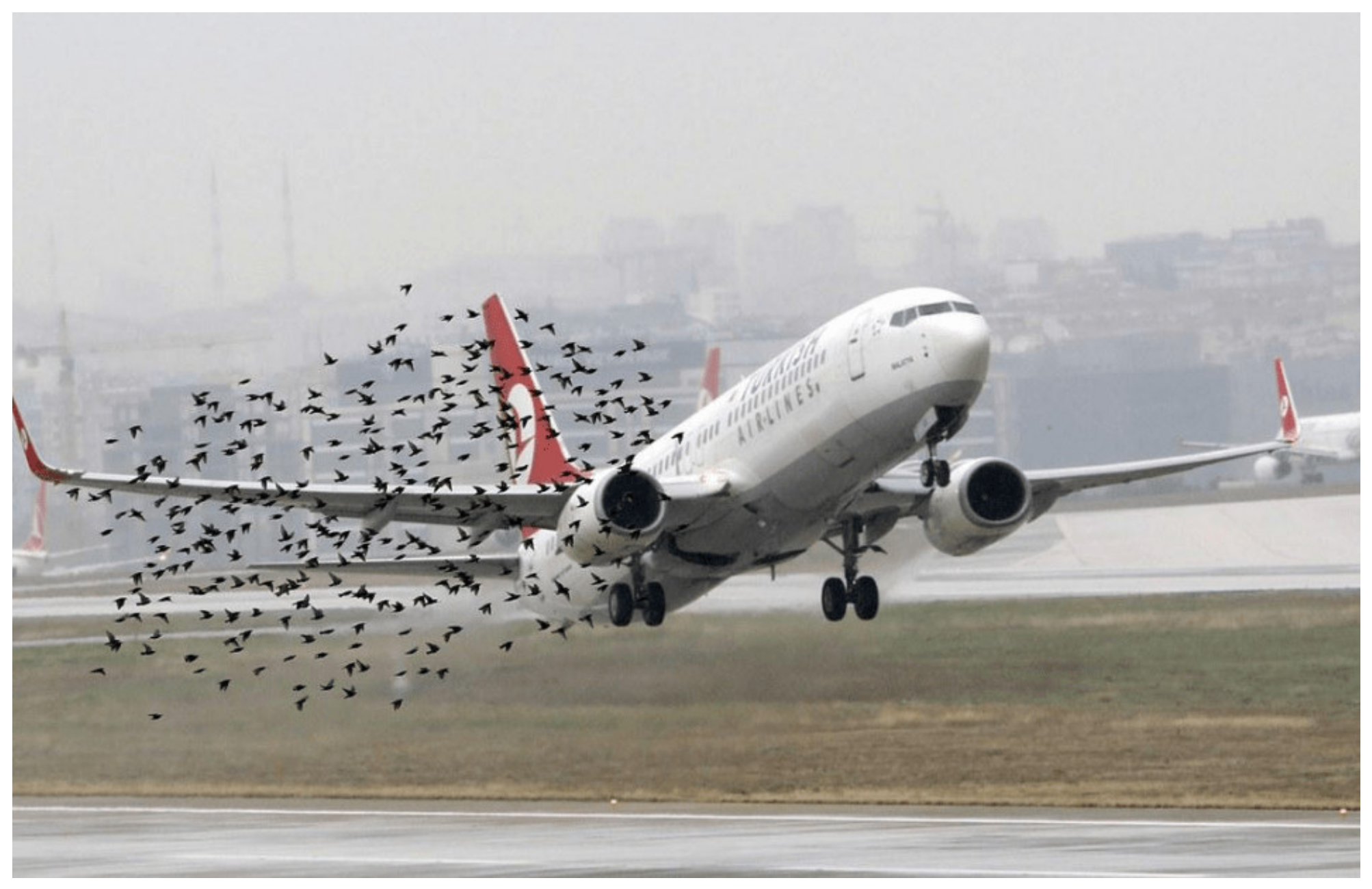 Applsci 13 11003 g002