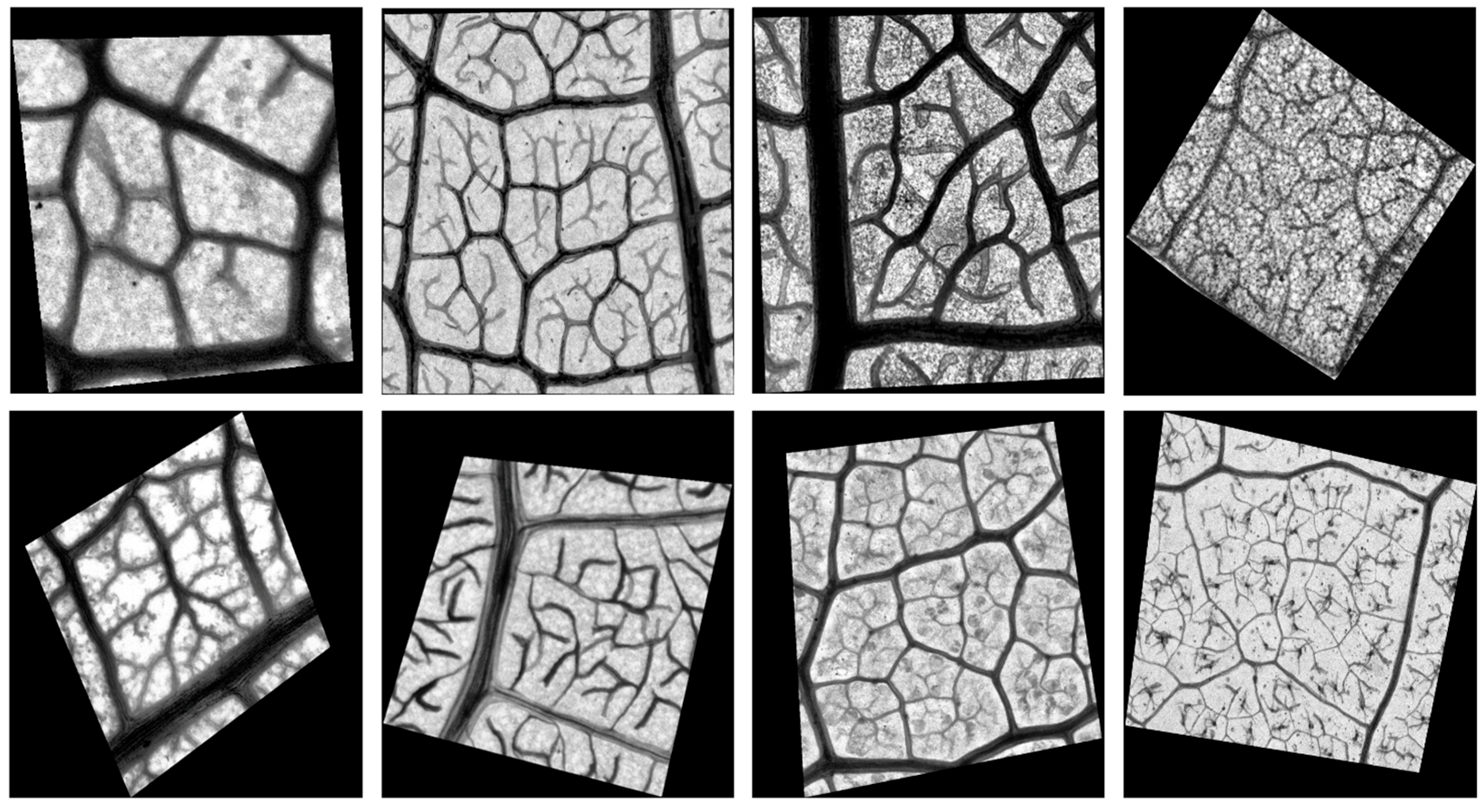 Applsci 13 11019 g003