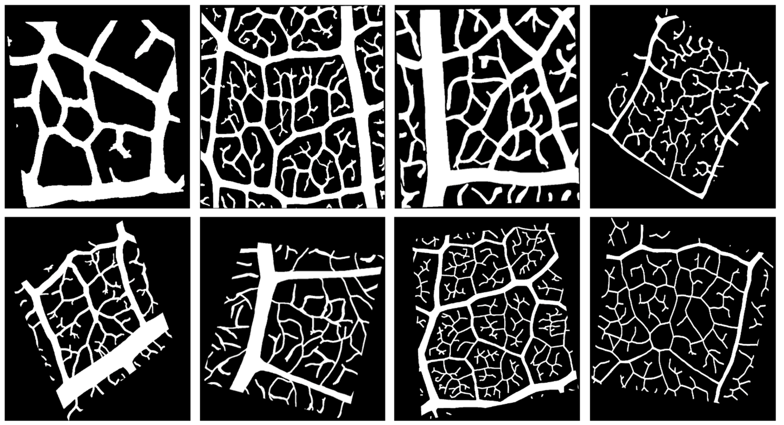 Applsci 13 11019 g004