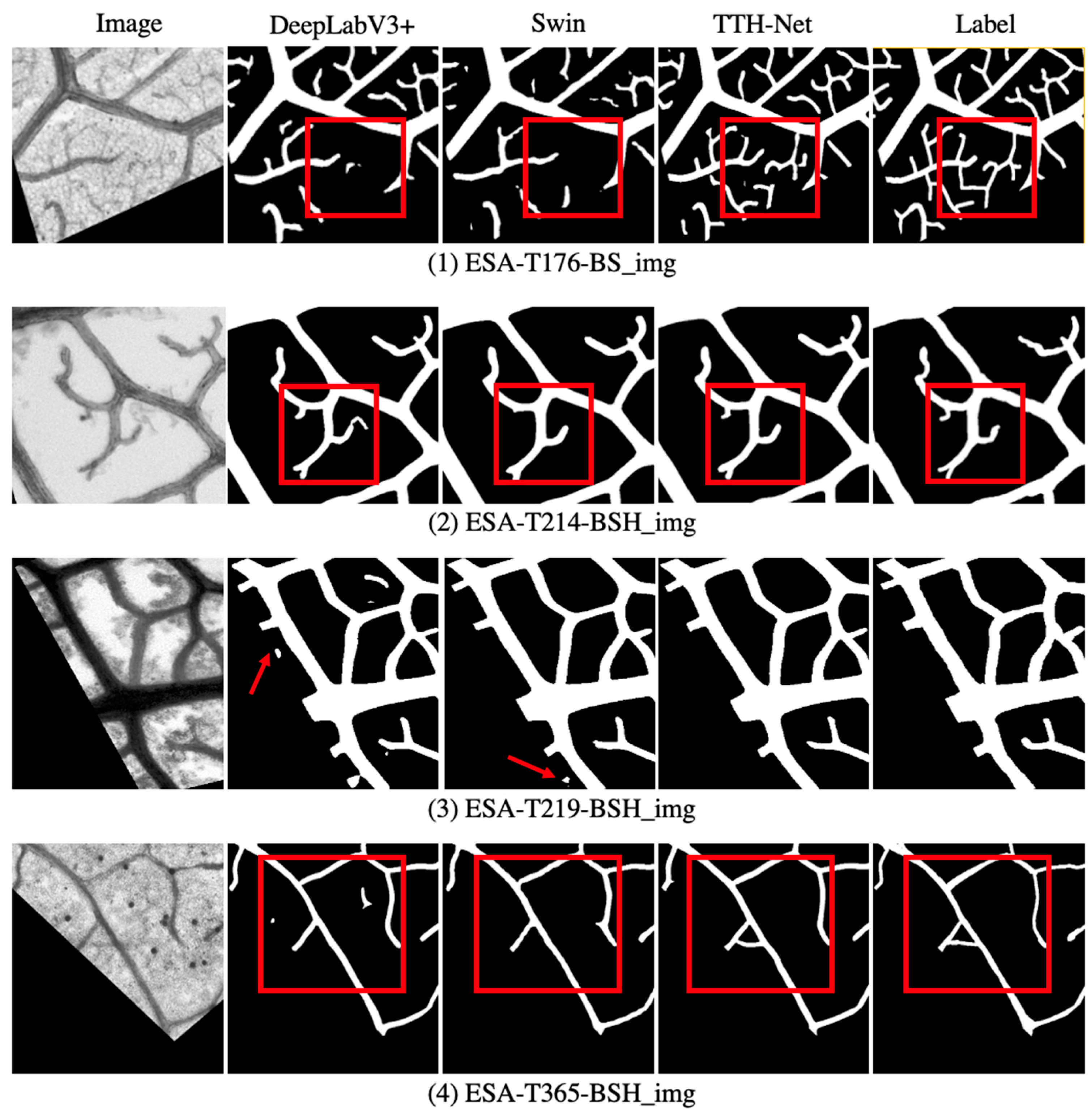 Applsci 13 11019 g005